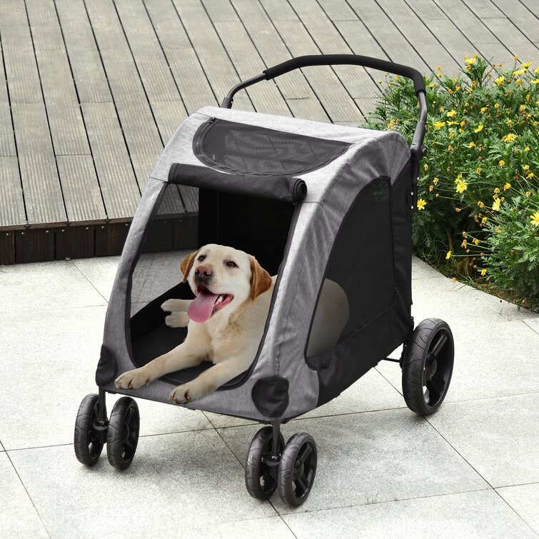 Ewell Folding Standard Stroller with Detachable Carrier