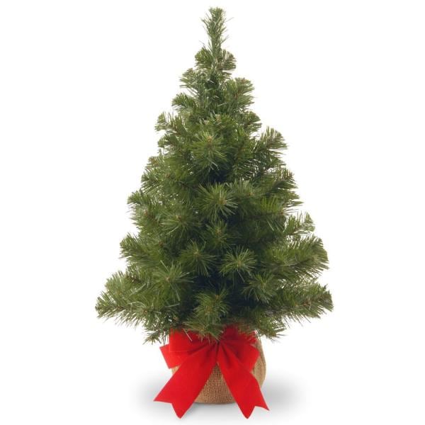 24 in. Noble Spruce Tree