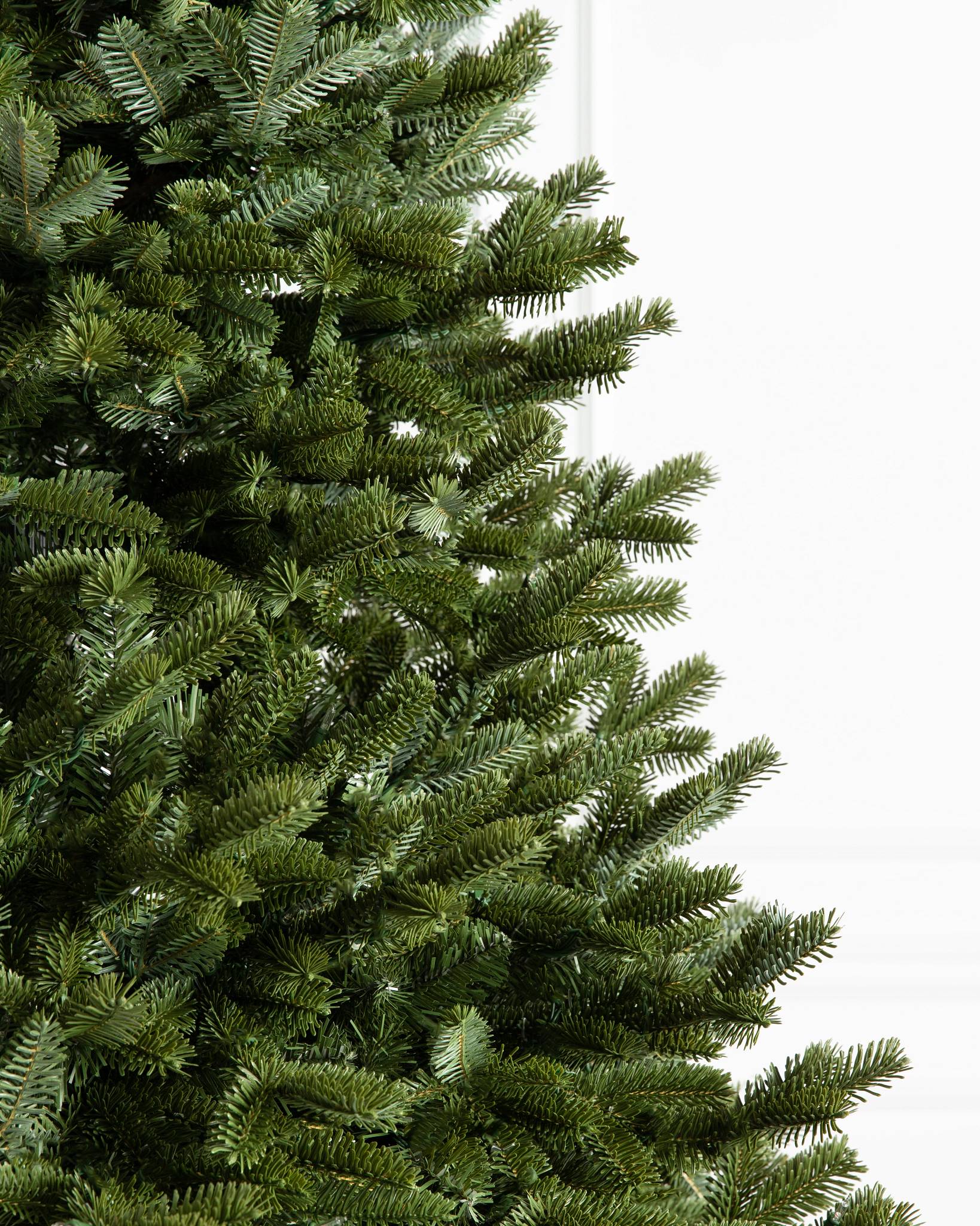 BH Fraser Fir® Tree