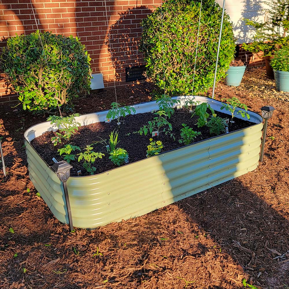 17'' Tall 8'x2' Metal Raised Garden Beds (9 in 1)
