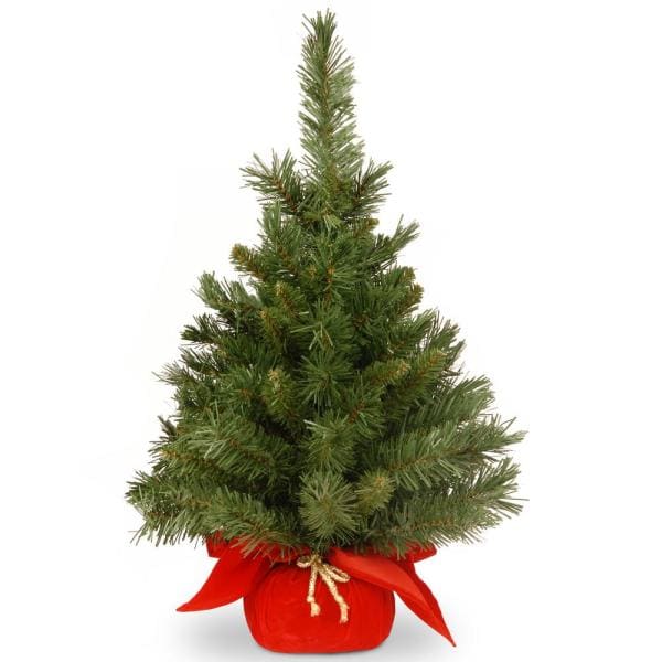 24 in. Majestic Fir Tree
