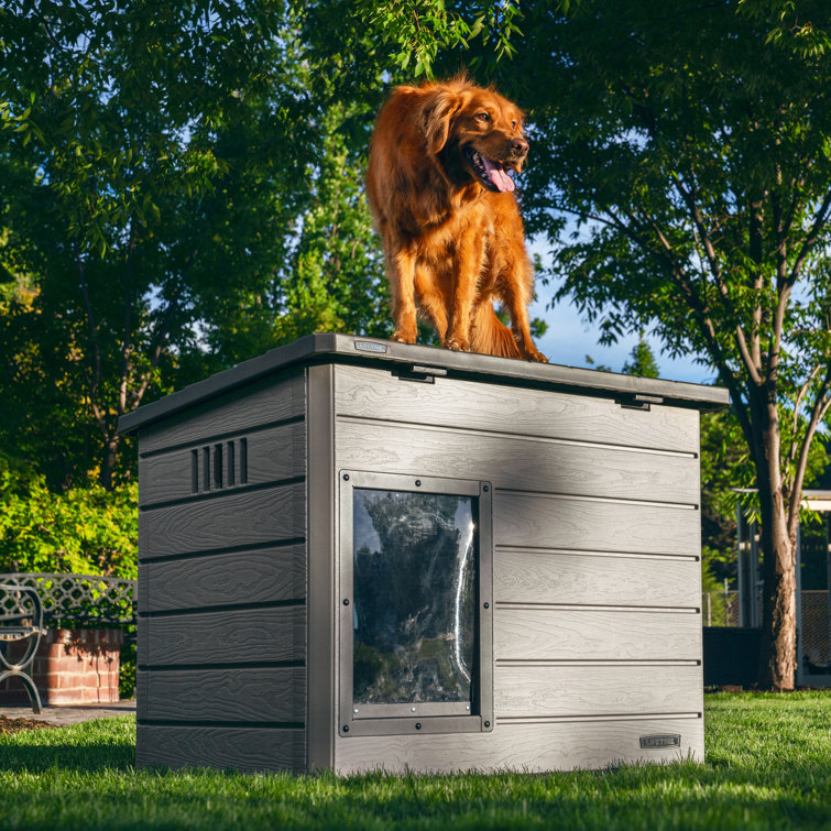 Deluxe Dog House