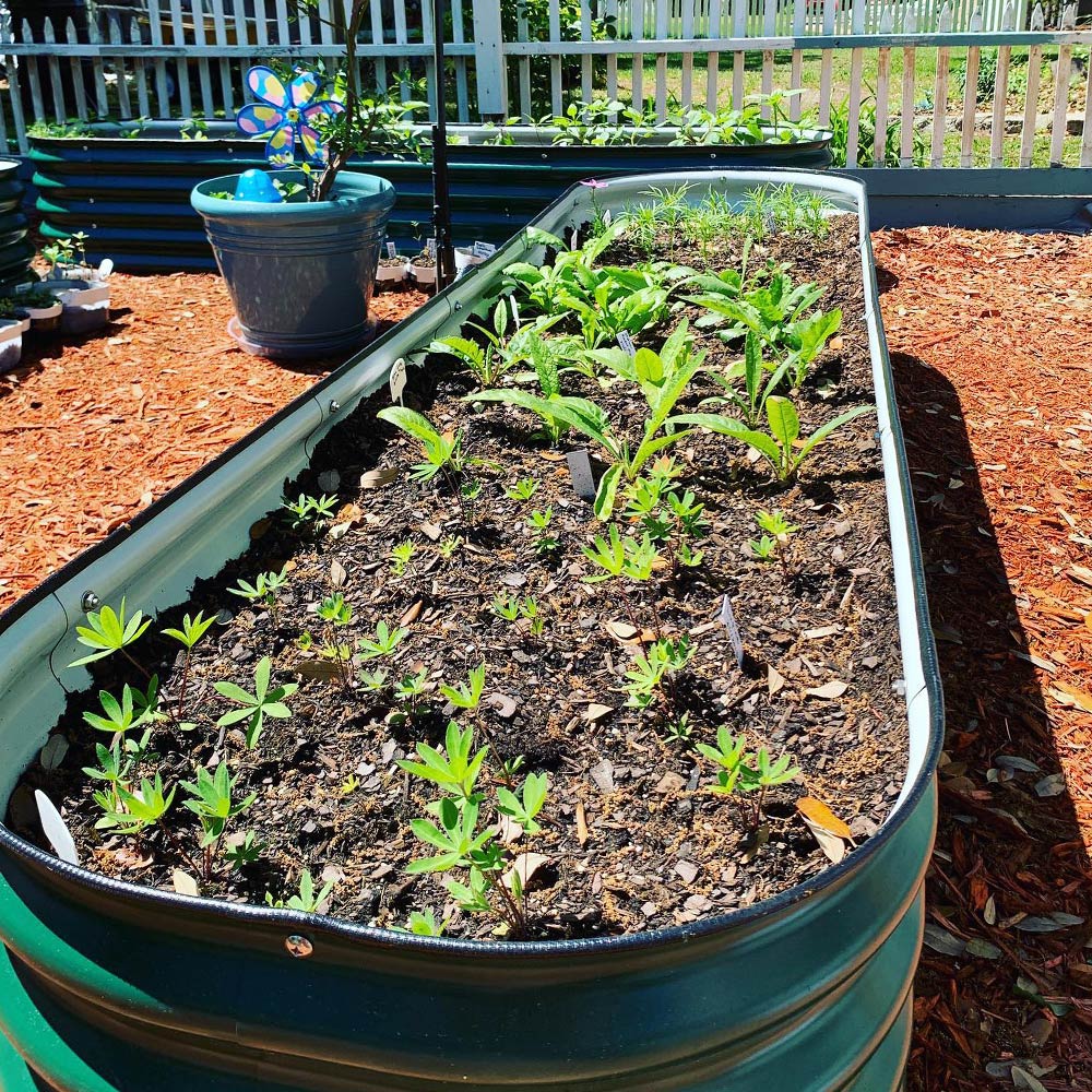 17'' Tall 8'x2' Metal Raised Garden Beds (9 in 1)