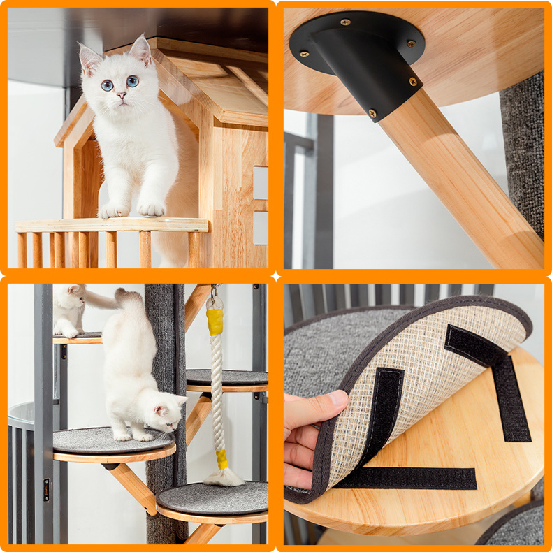 ❤️The Best Gift For Your Cats