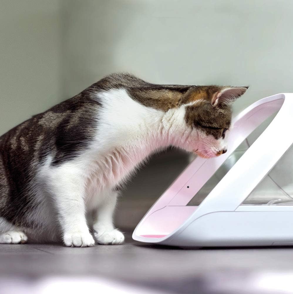 Microchip Pet Feeder Connect - Requires Hub (Sold Separately)