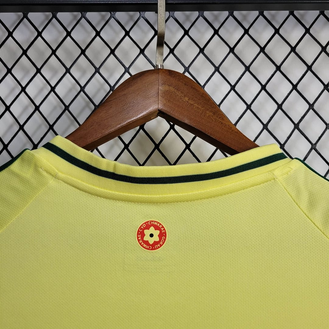 2024 Wales Away Football Shirt( Fans Edition )