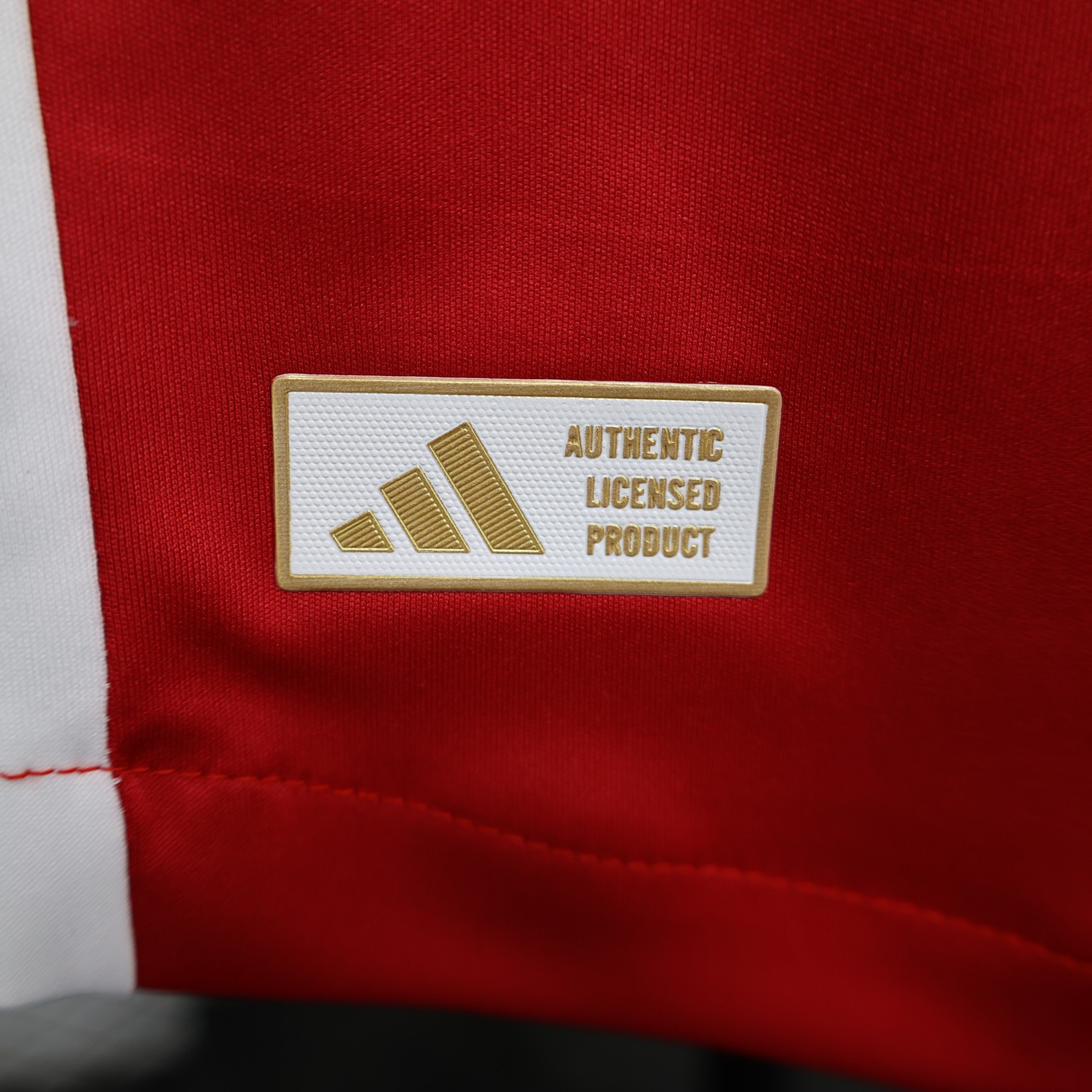 2025/2026 AFC Ajax Home Edition (Player Version)