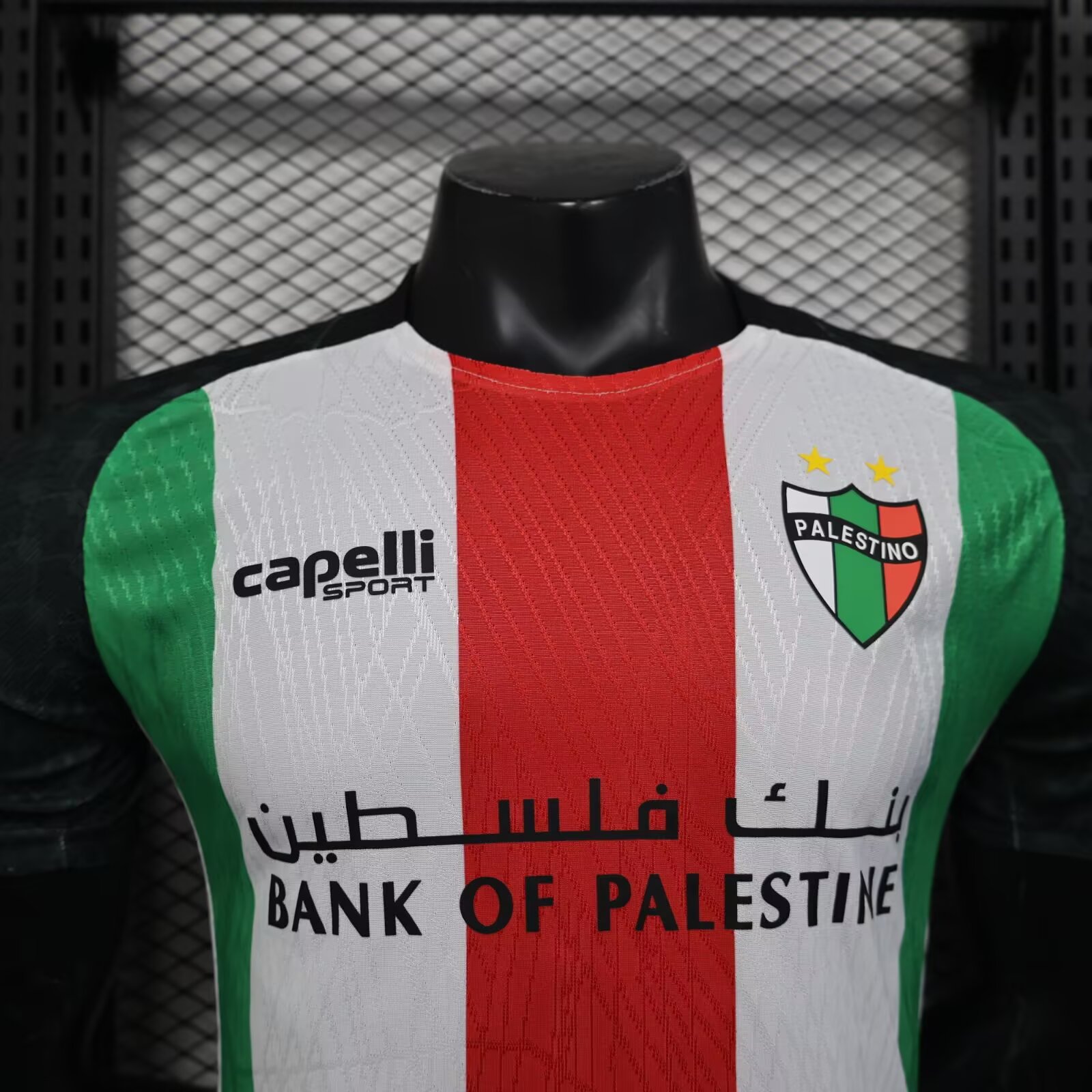 2025/2026 Palestine Home Player Edition Football Shirt( Player Edition )