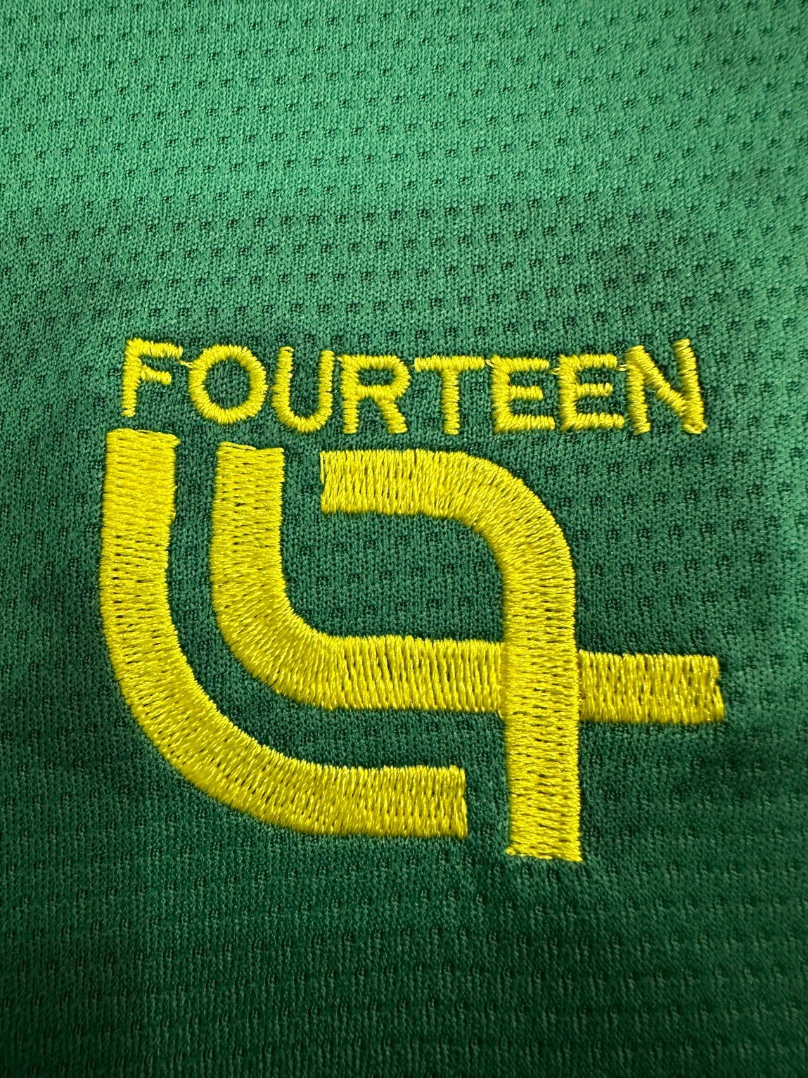 2025/2026 Cameroon Home Football Shirt( Fans Edition )