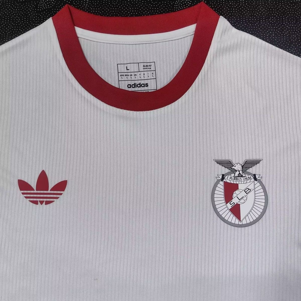 2025/2026 Benfica Special Jersey(Fans Version)
