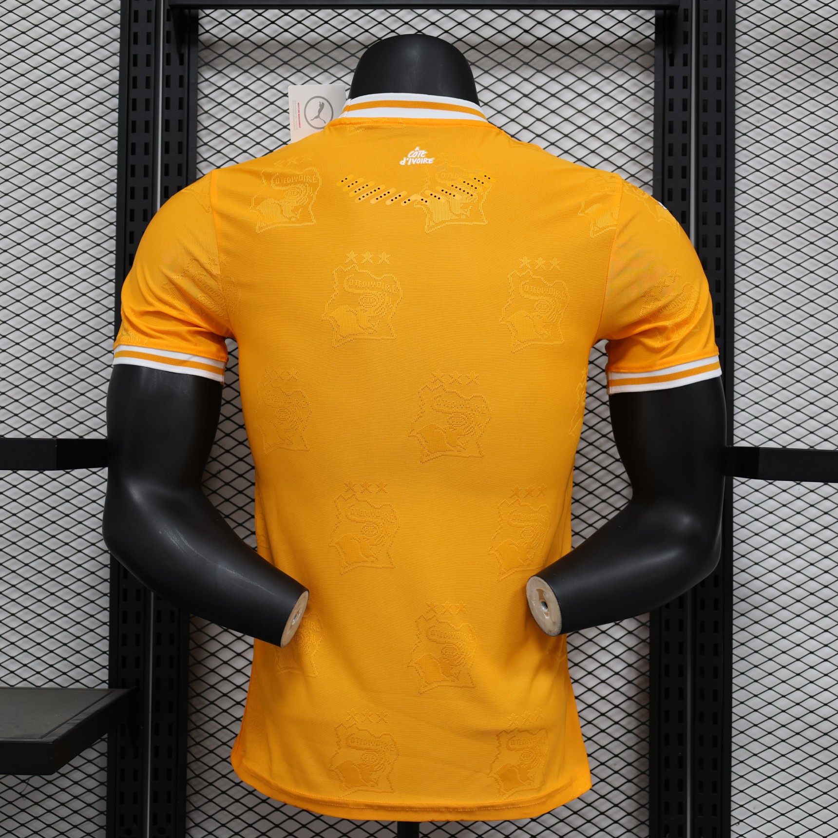 2025/2026 Ivory Coast Special Edition Football Shirt( Player Edition )
