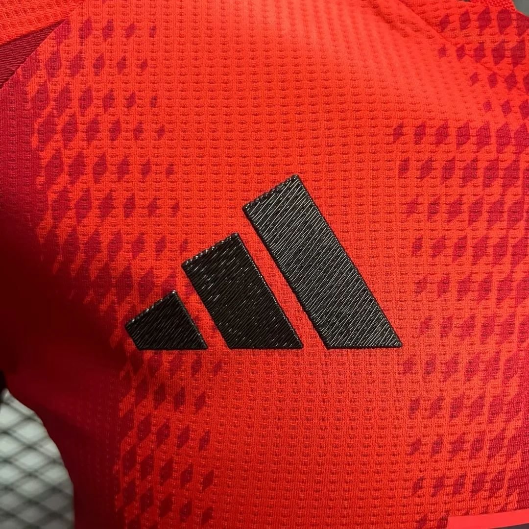 2024/2025 Bayern Munchen Home Football Shirt For Player Version