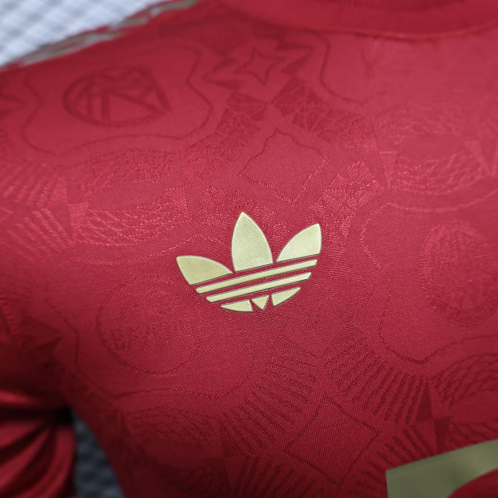 2025/2026 Bayern Munchen Red 125th Anniversary Jersey(Player Version0