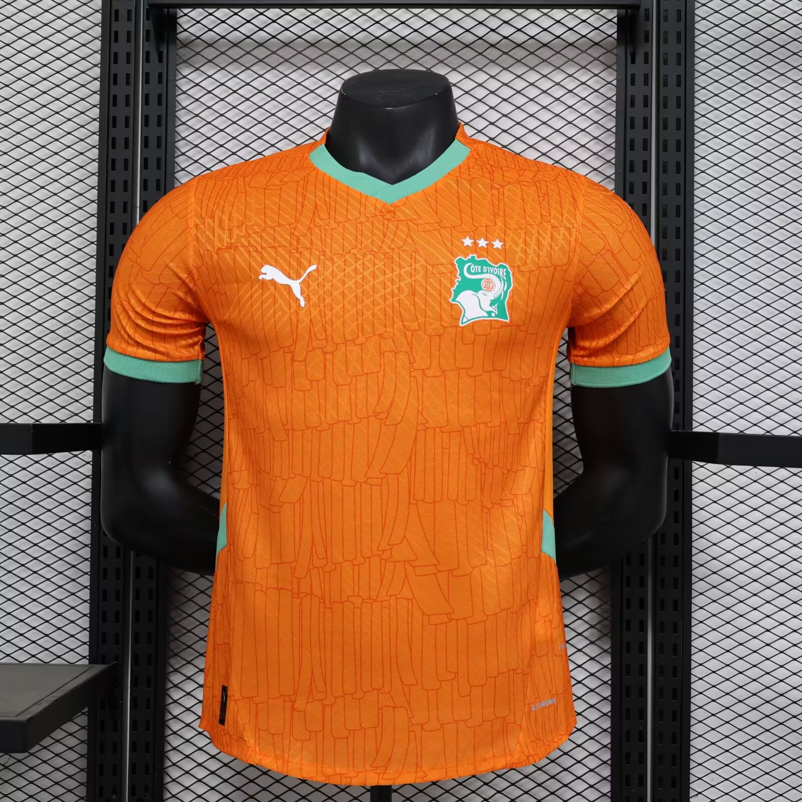 2025/2026 Ivory Coast Home Football Shirt For Player Version