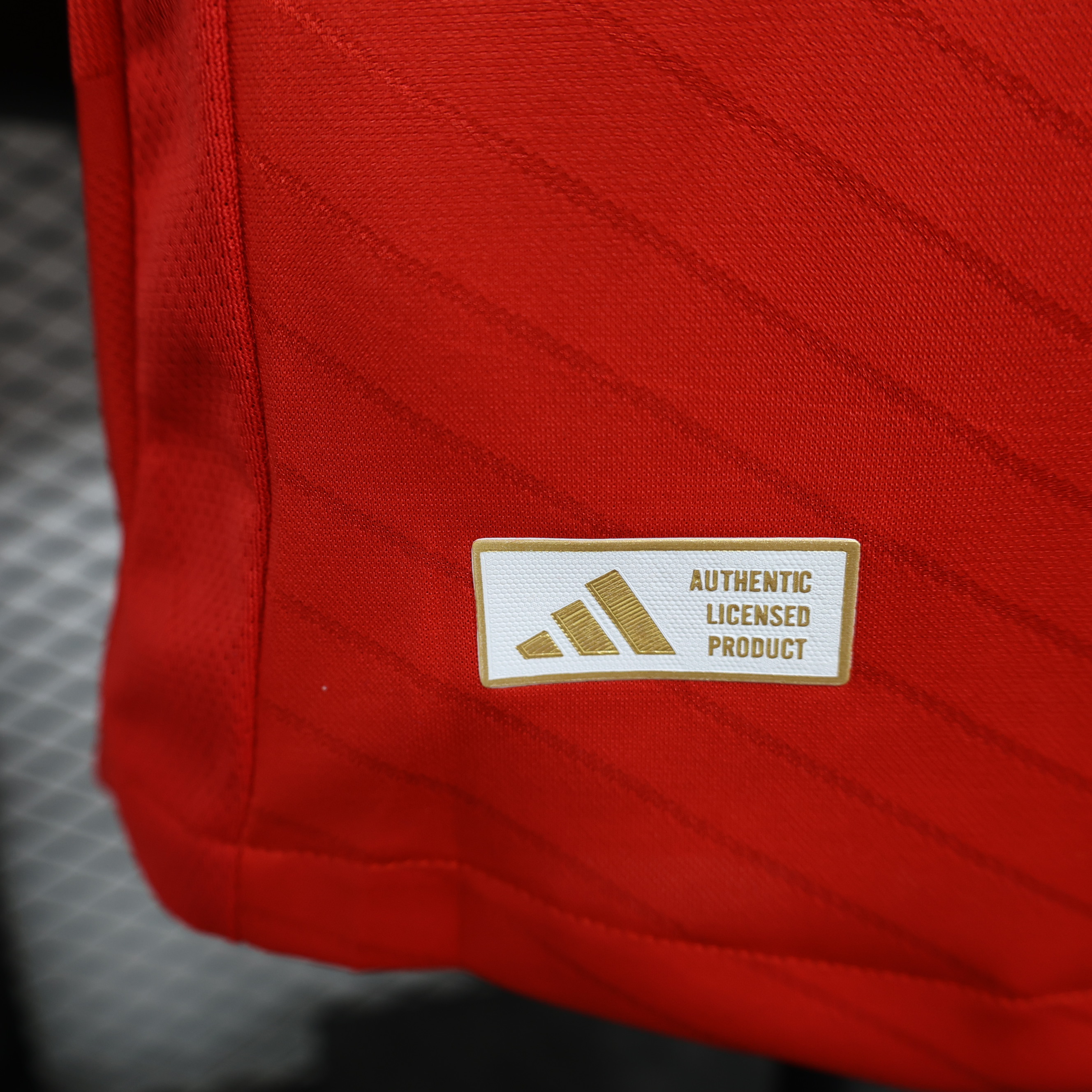 2024/2025 Benfica Away Jersey(Player Version)