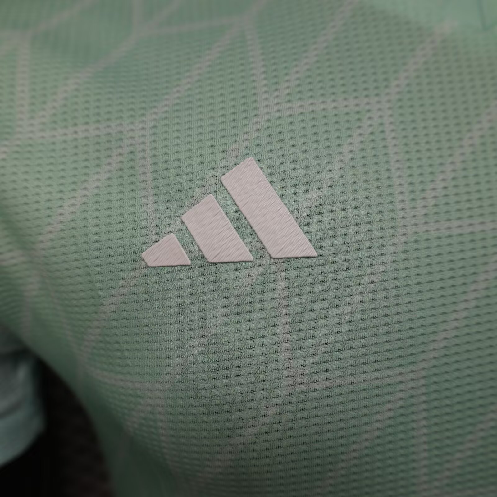 2025/2026 Algeria Green Football Jersey( Player Edition)
