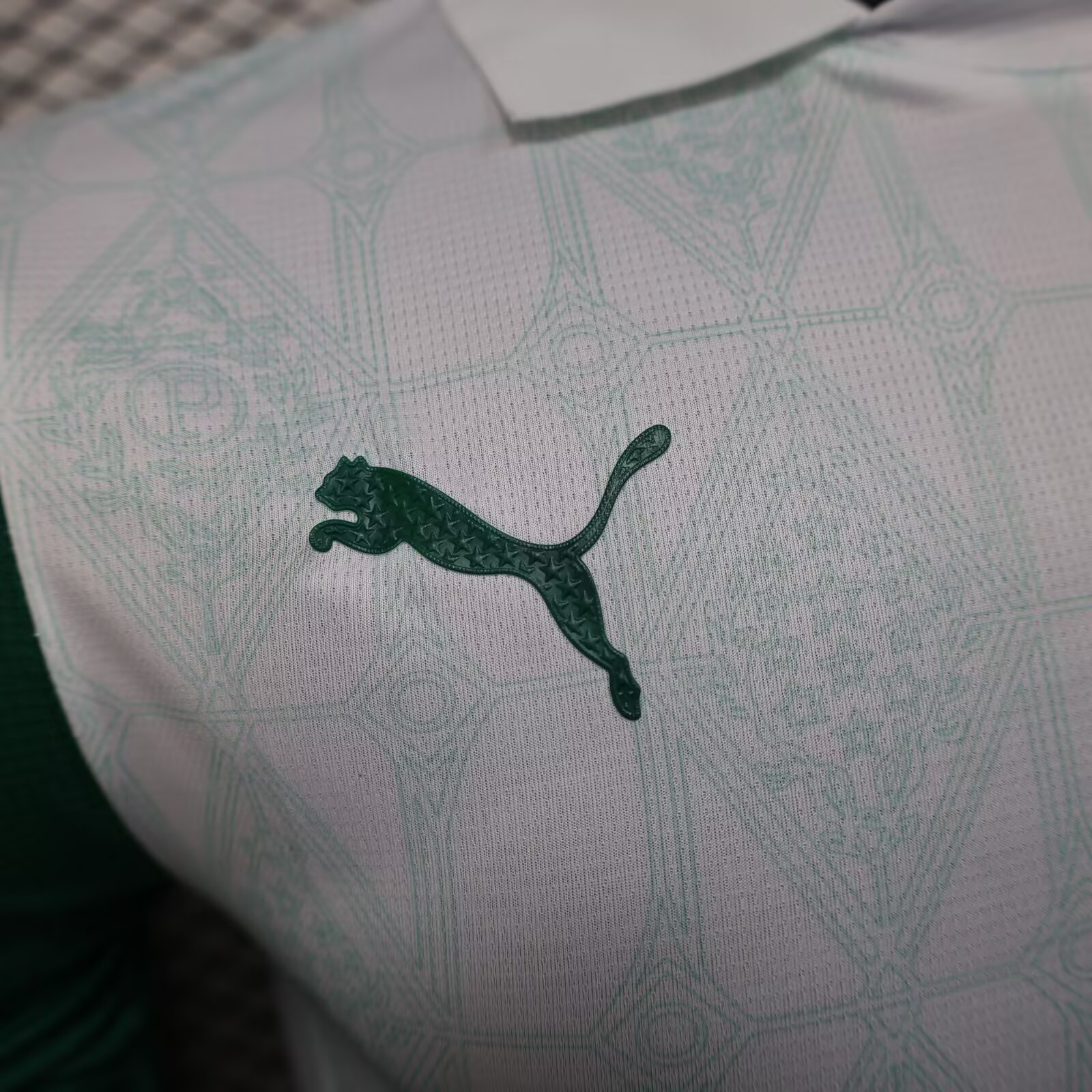 2025/2026 Palmeiras Away Football Shirt( Player Version)