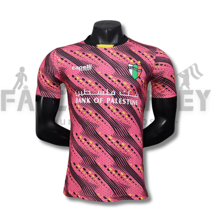 2025/2026 Palestine Special Edition Football Shirt( Player Edition )