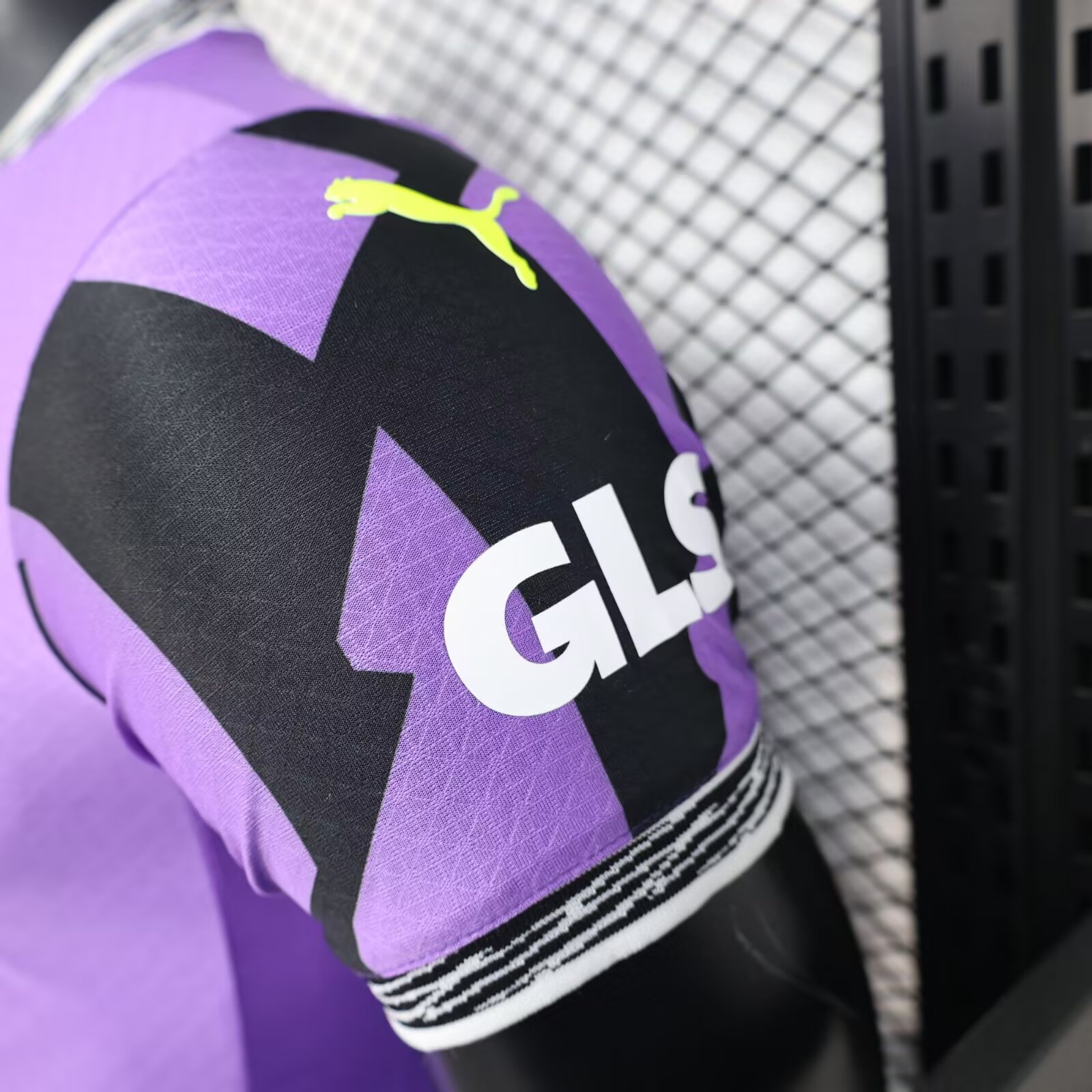 25/26 Dortmund Purple Goalkeeper Jersey(Player Version)