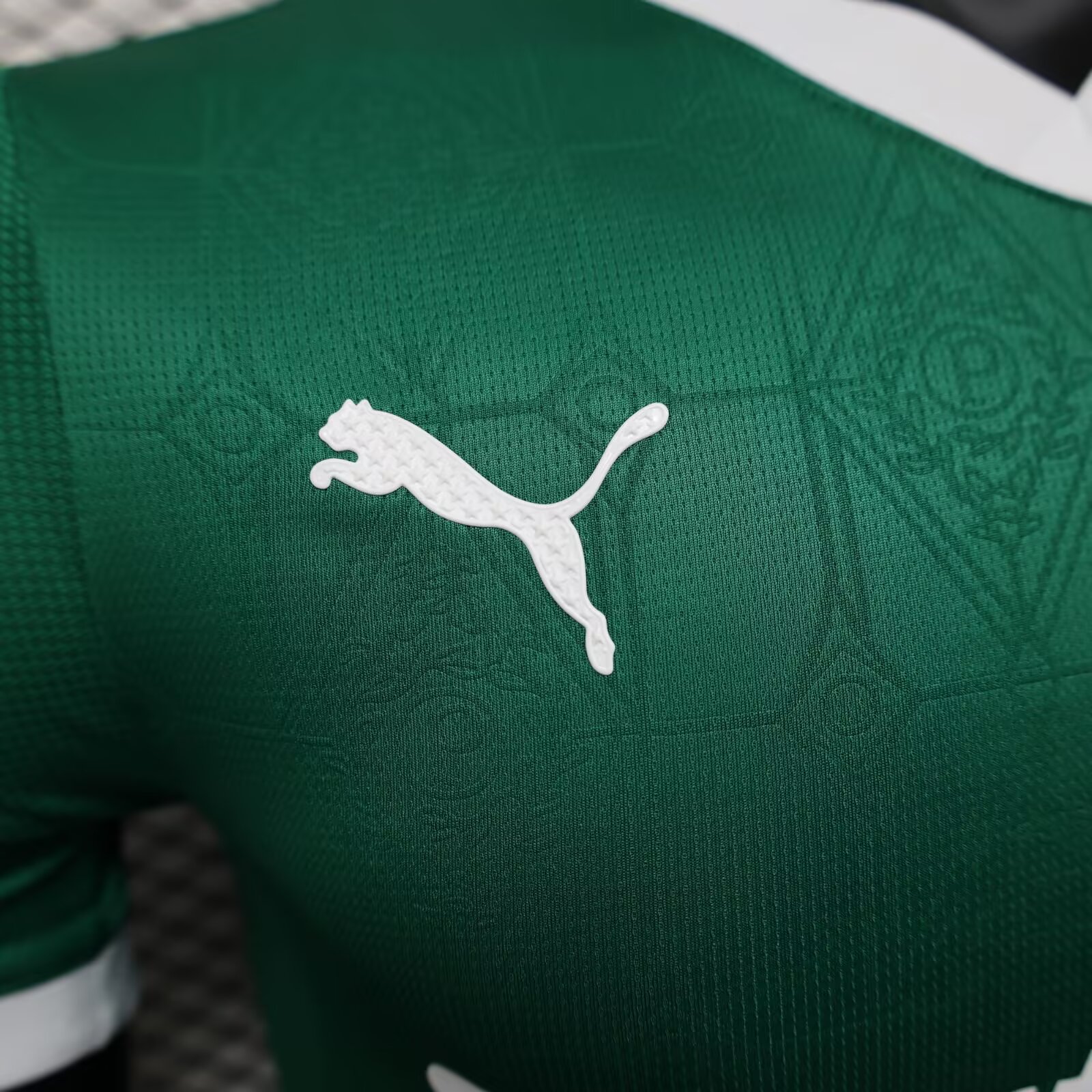 2025/2026 Palmeiras Home Football Shirt(Player Version)