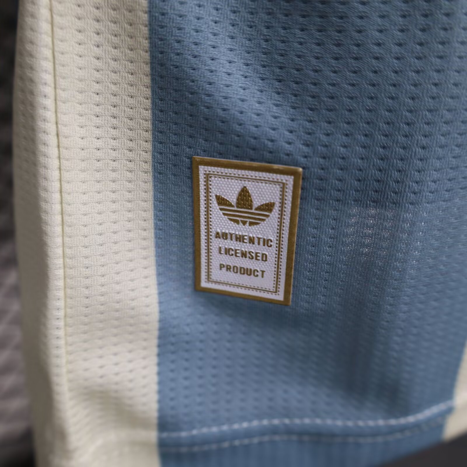 2024/2025 Argentina 50th Anniversary Commemoration Jersey( Player Edition )
