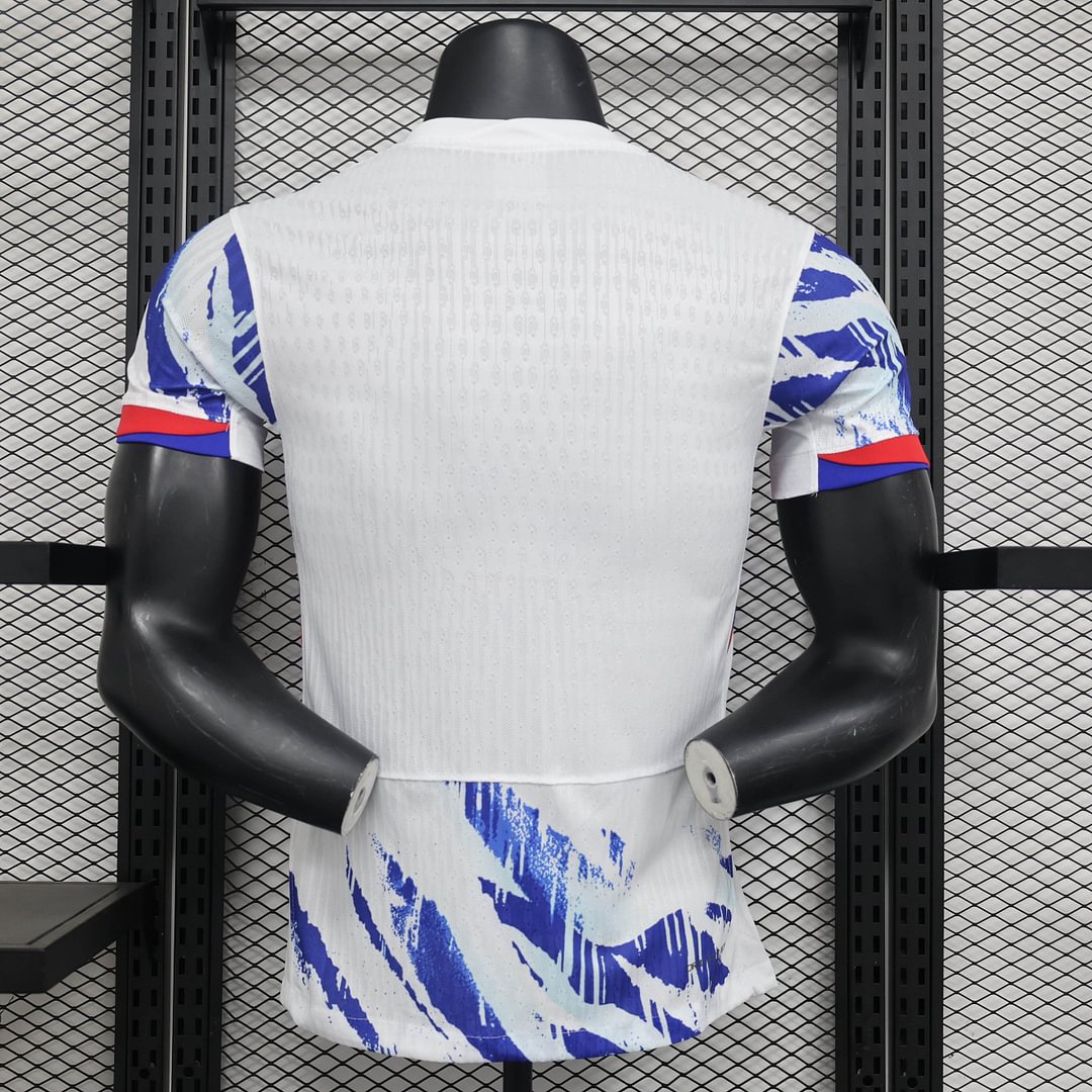 2024/2025 Norway Away Football Shirt( Player Edition )