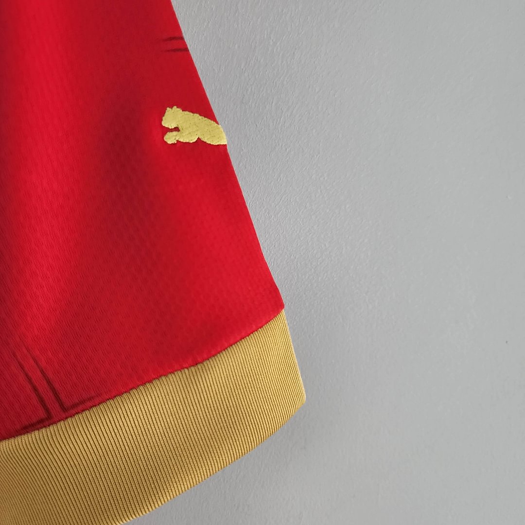 2022 Serbia Home Football Shirt(Fan version)