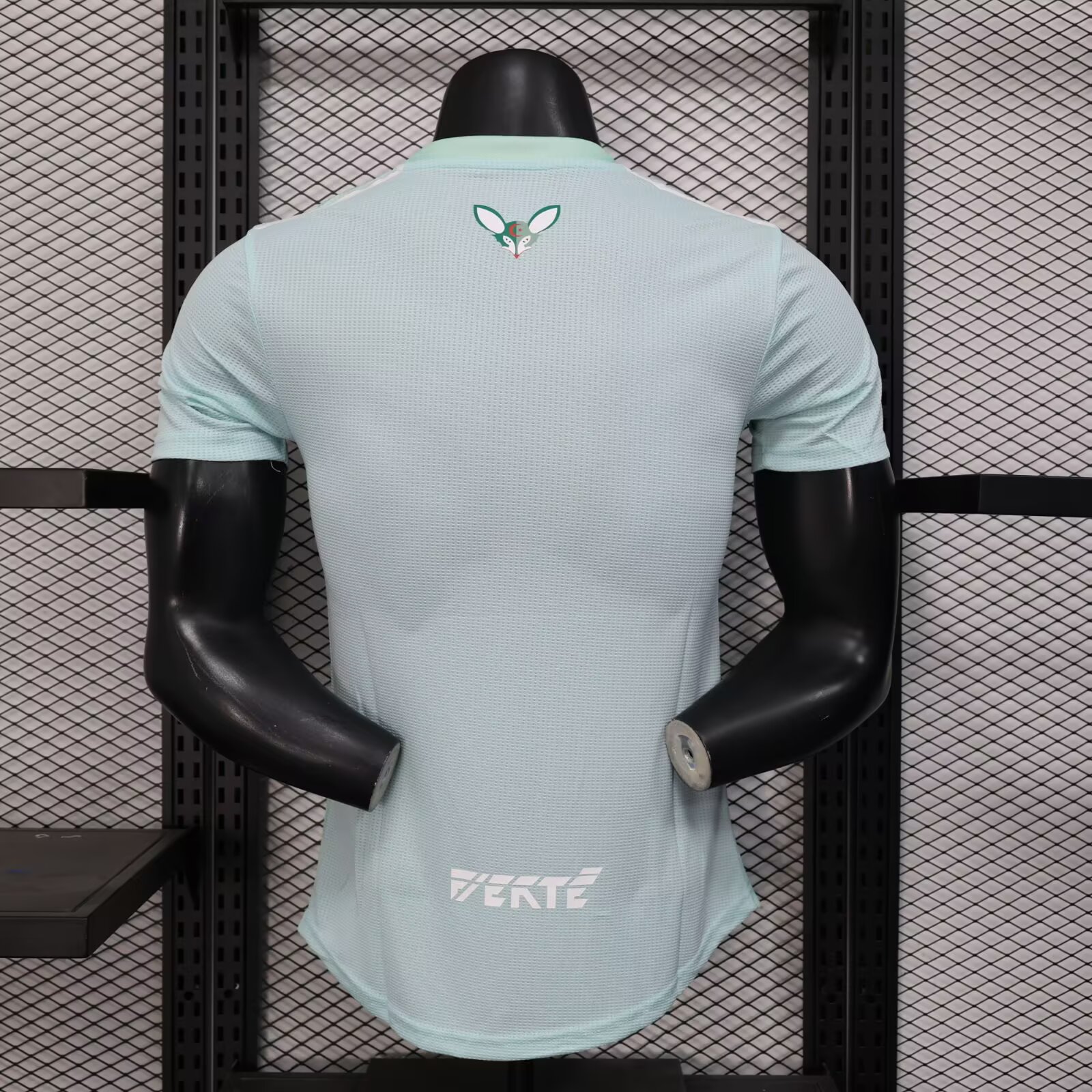 2025/2026 Algeria Green Football Jersey( Player Edition)