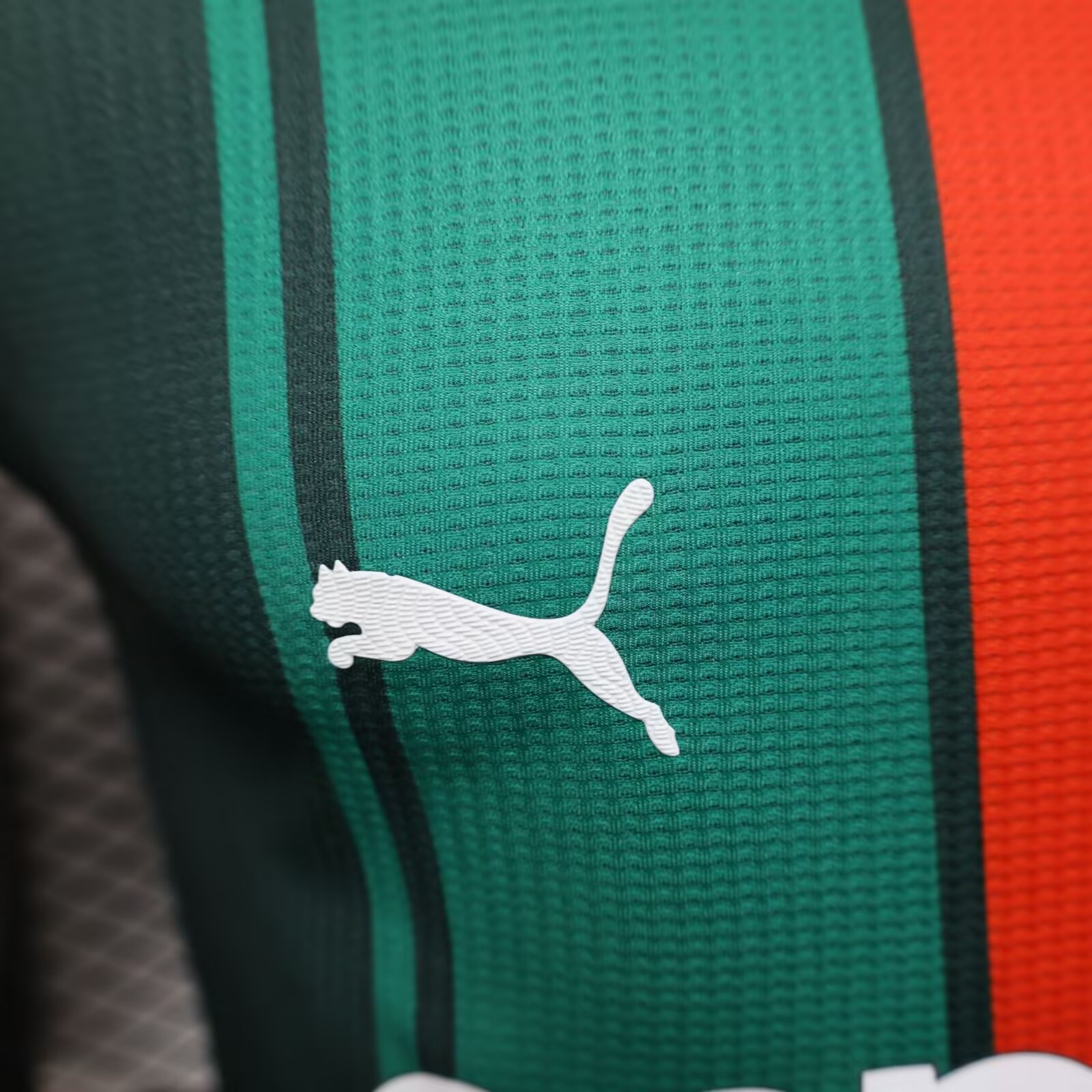2025/2026 Algeria Green Football Jersey( Player Edition)