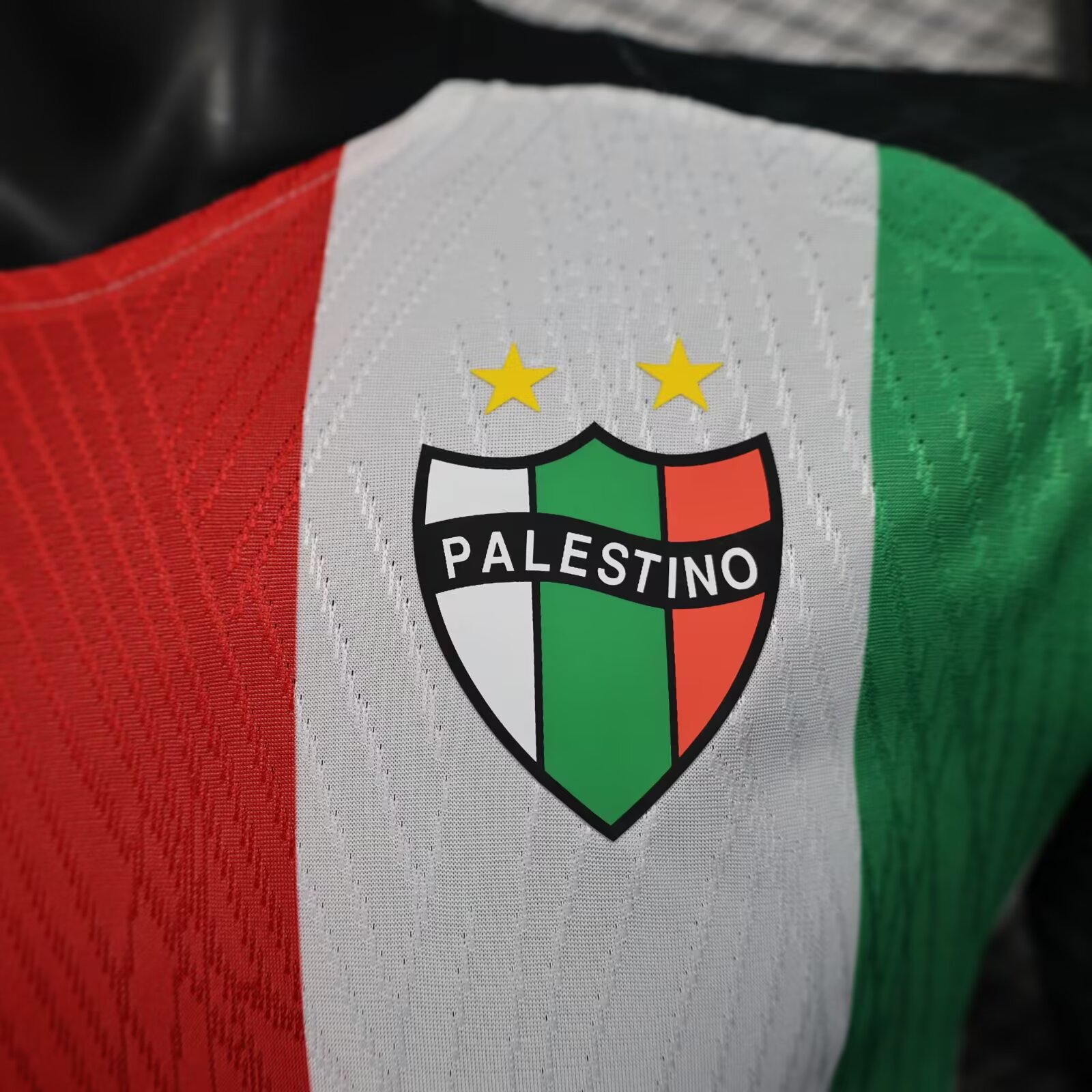 2025/2026 Palestine Home Player Edition Football Shirt( Player Edition )