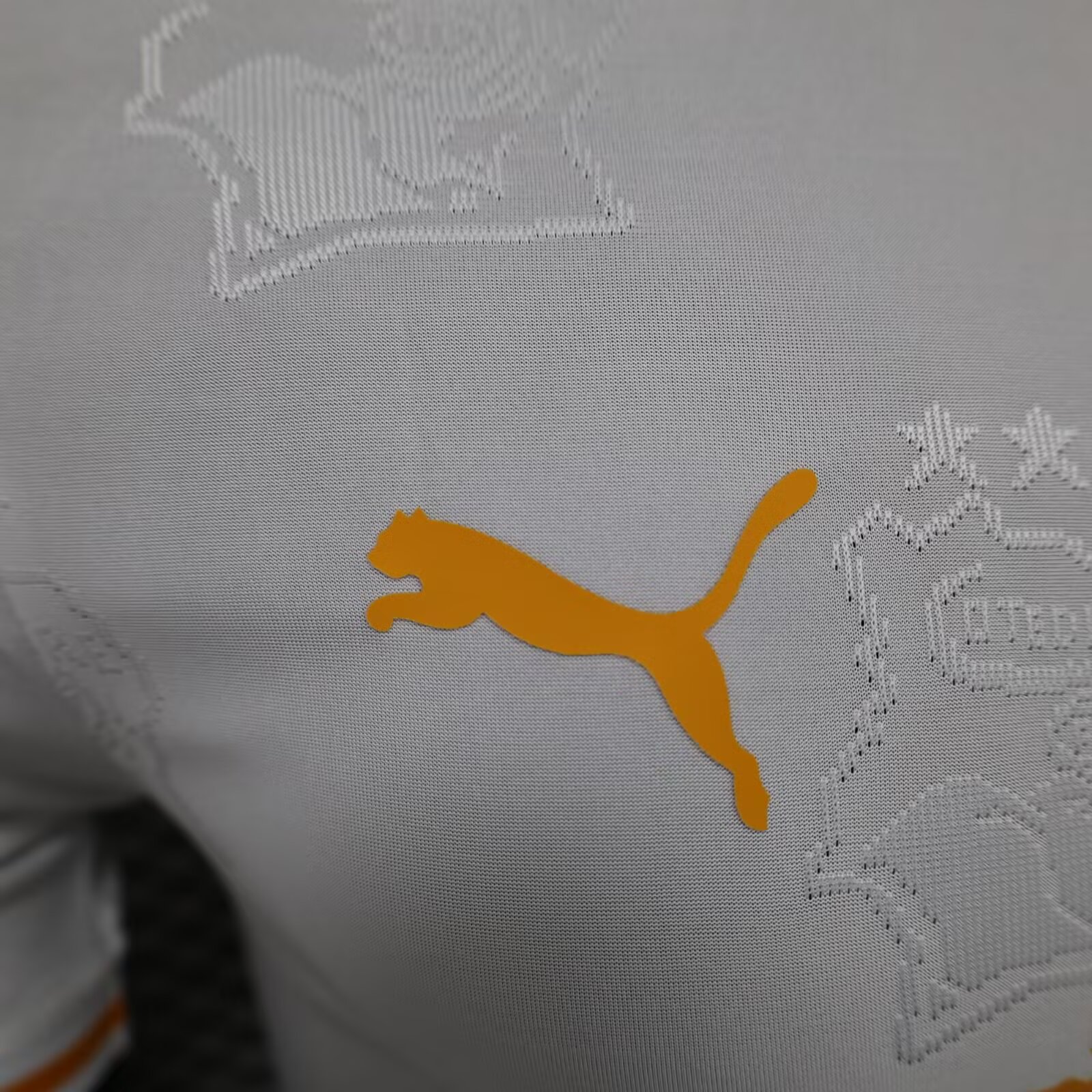 2025/2026 Ivory Coast White Special Edition Football Shirt( Player Edition )