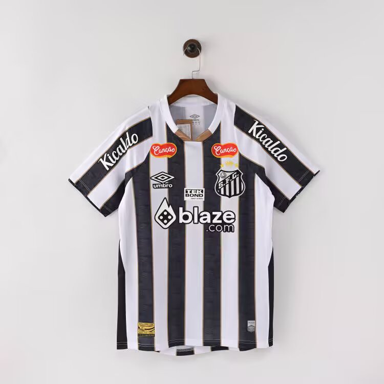 2024/2025 Santos Away Football Shirt( Fans Edition )