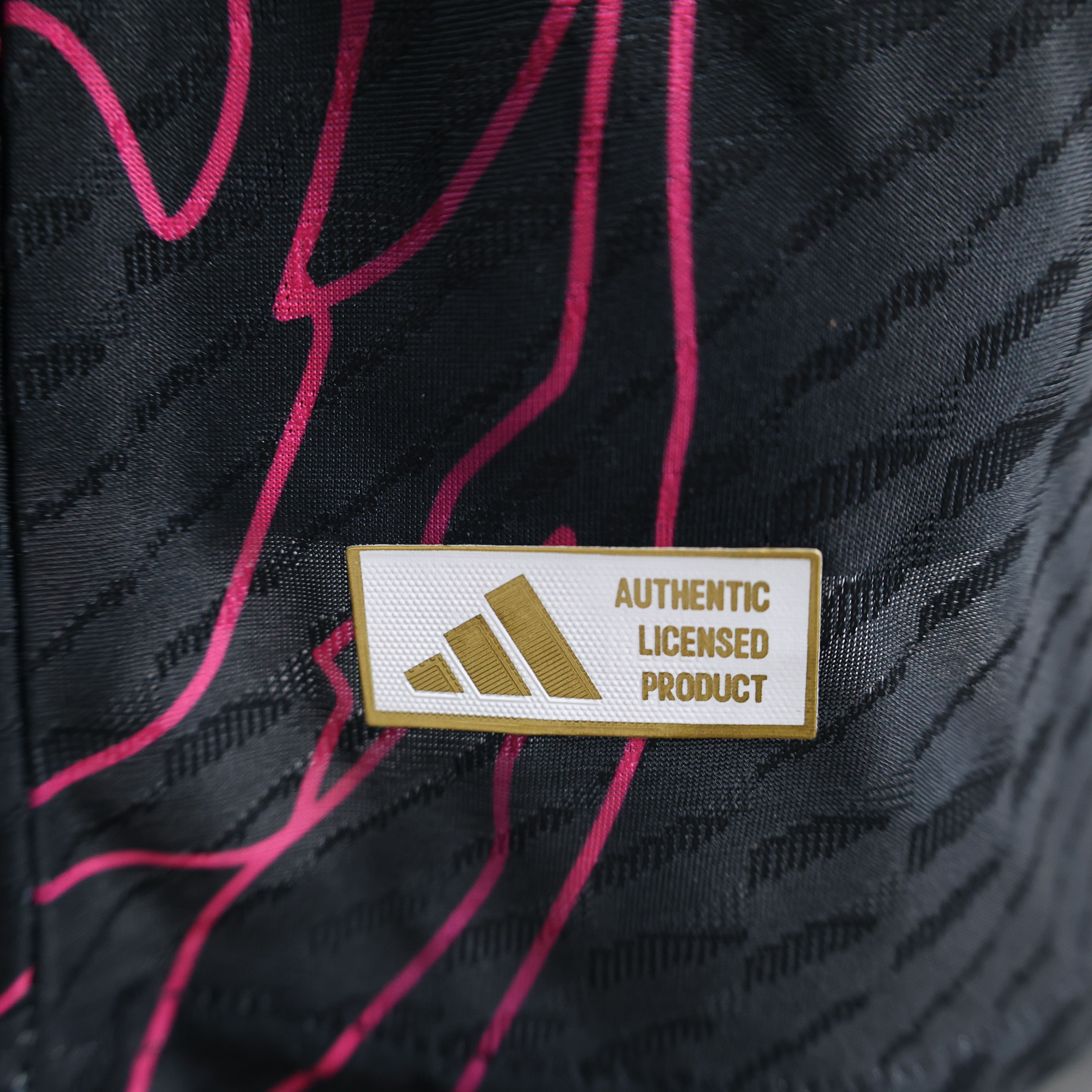 2024/2025 Players Edition Japan Special Edition Football Jersey