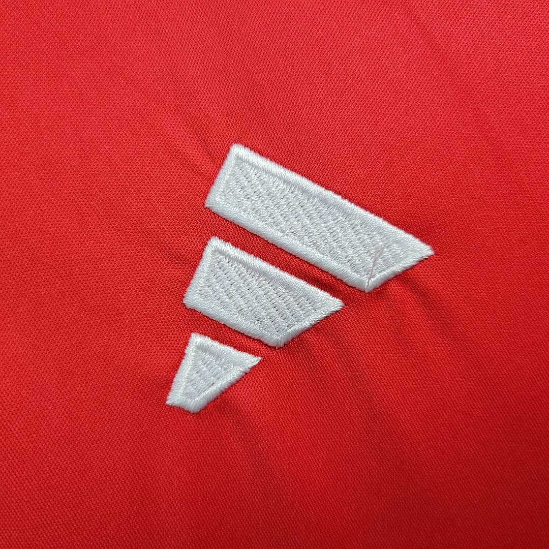 2024 Wales Home Football Shirt( Fans Edition )