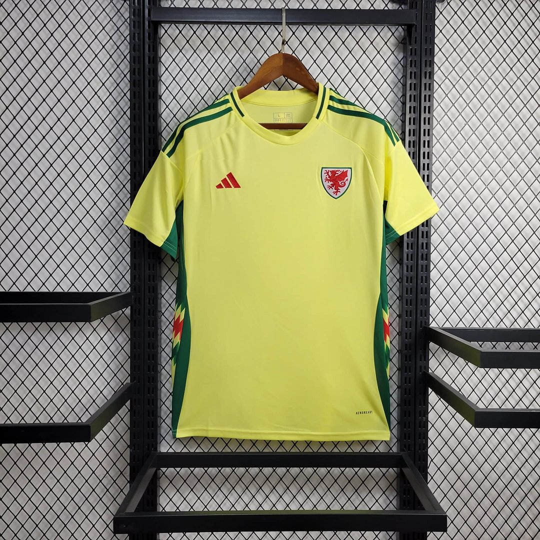 2024 Wales Away Football Shirt( Fans Edition )