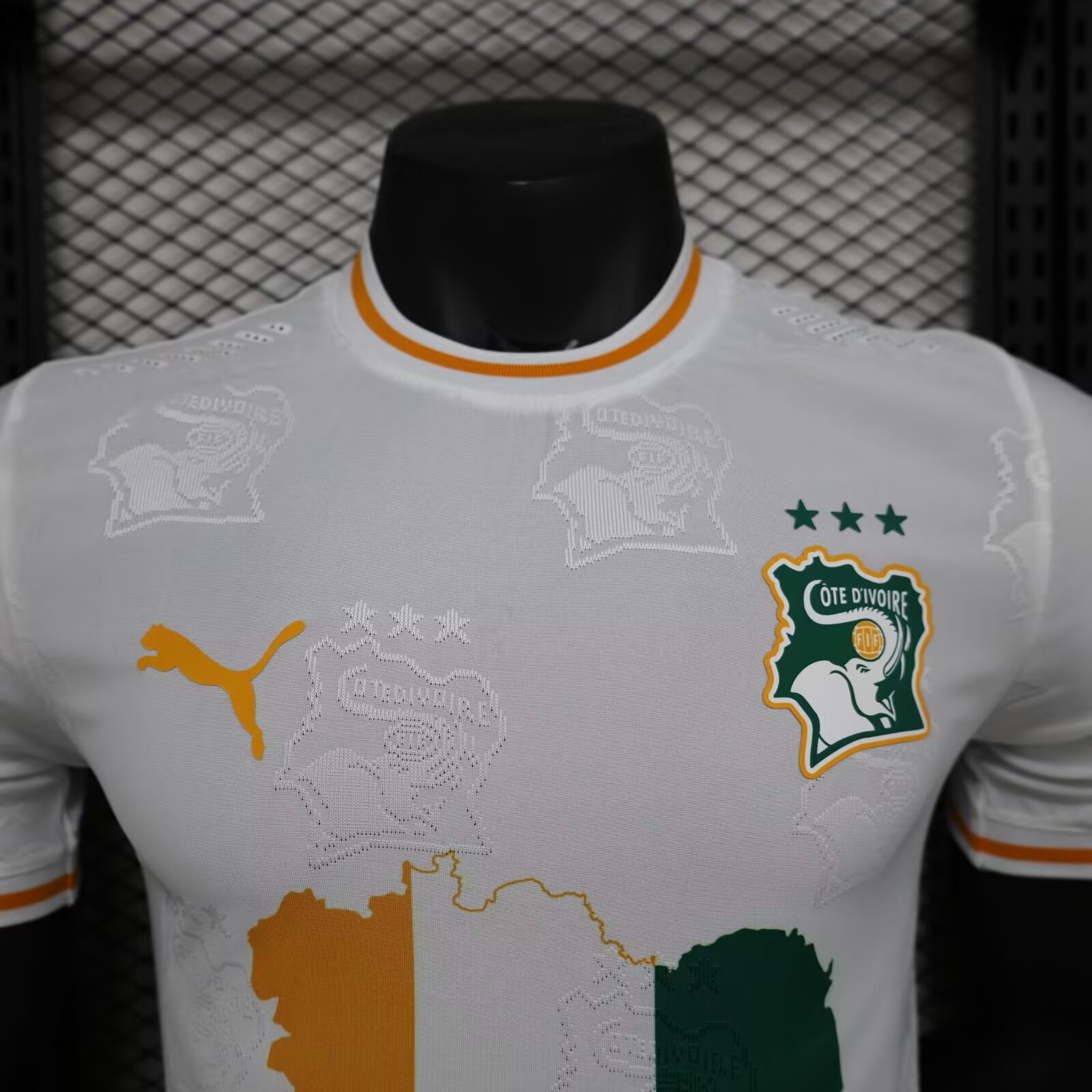 2025/2026 Ivory Coast White Special Edition Football Shirt( Player Edition )