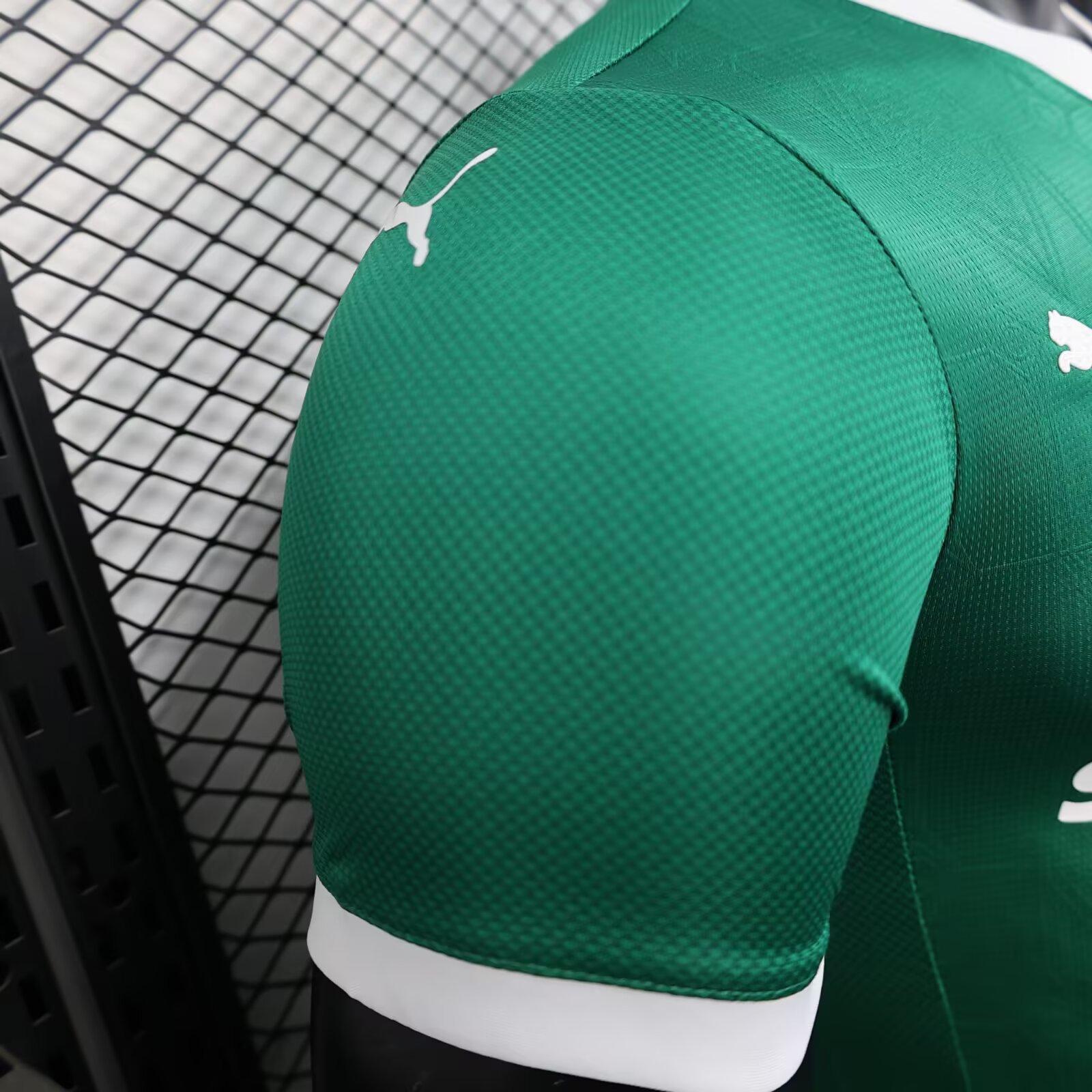 2025/2026 Palmeiras Home Football Shirt(Player Version)