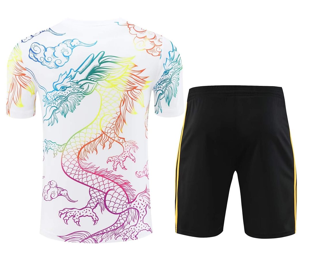 2024/2025 Real Madrid Training Wear Color Suit Shirt