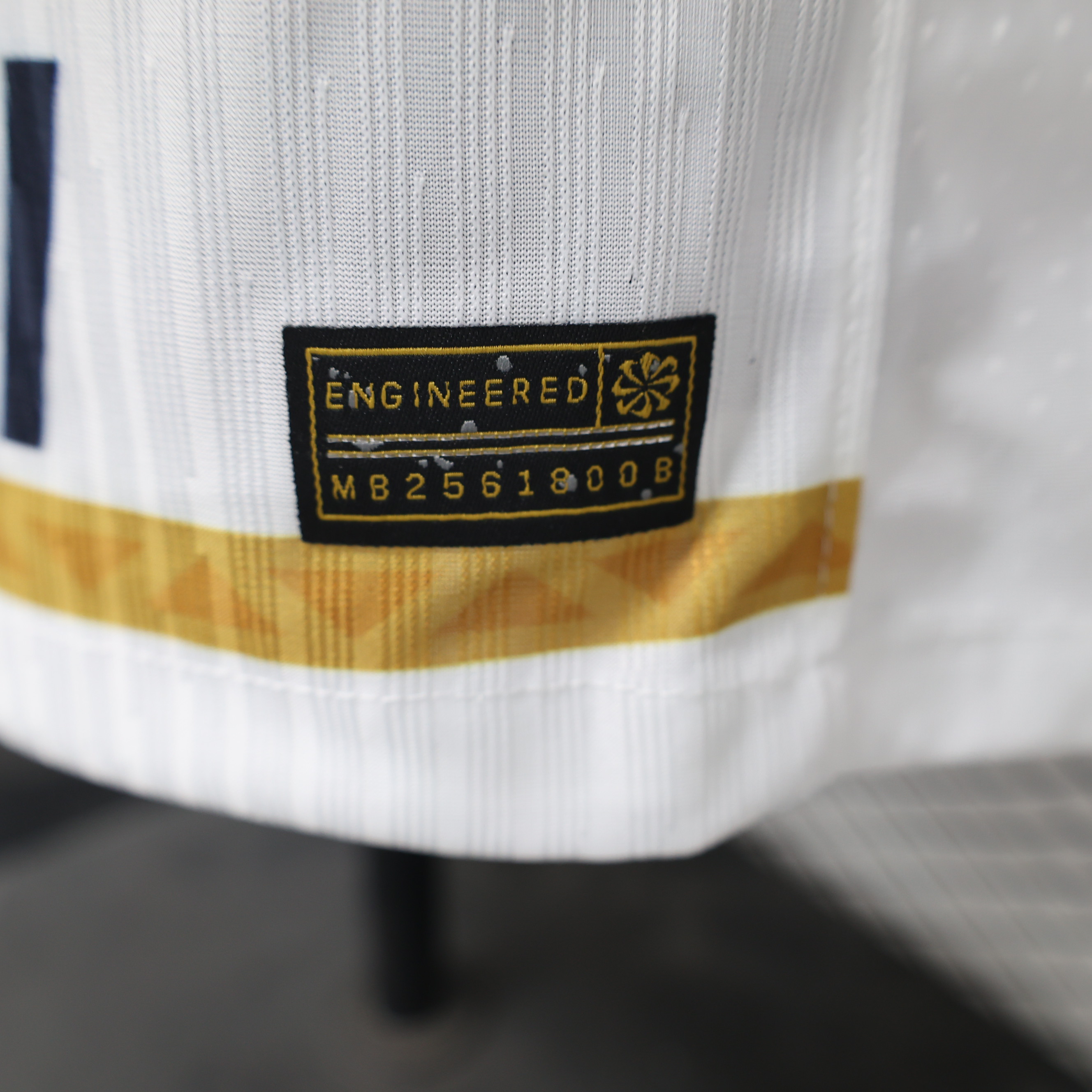 2024/2025 Pumas UNAM Home Edition(Player Version)