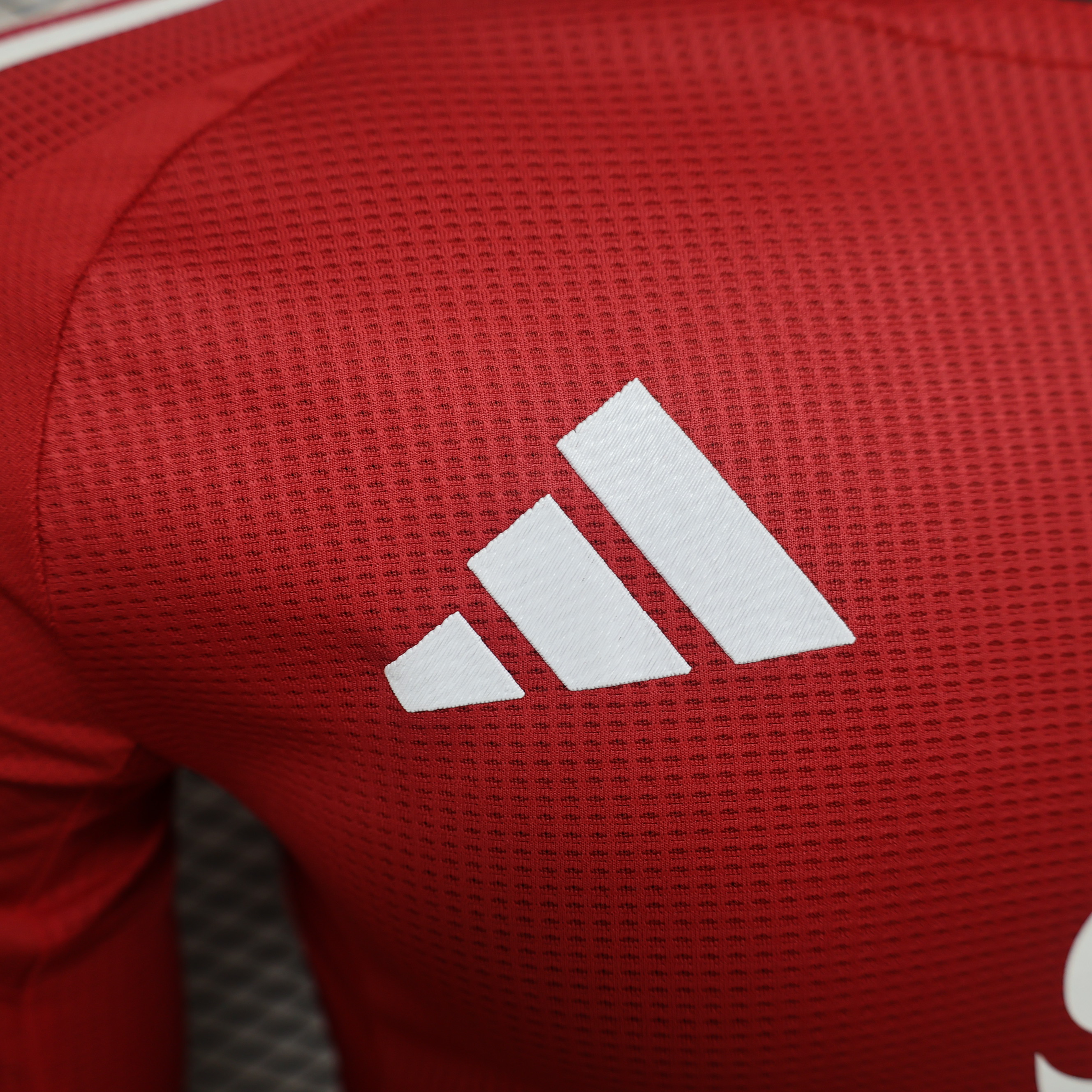 2024/2025 Manchester United Home Long sleeves Football Jersey For Player Version