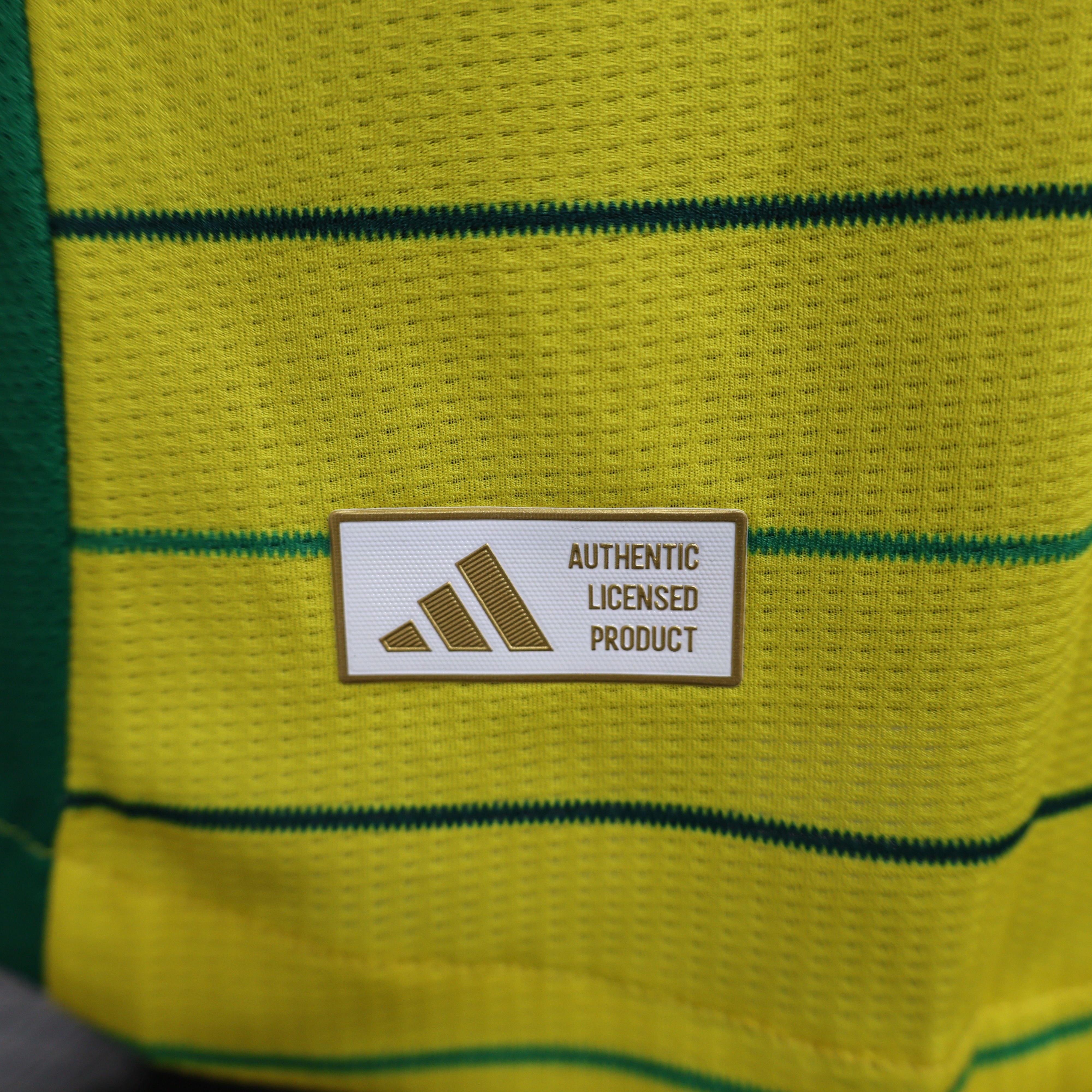 2024/2025 Celtic Yellow Special Edition Football Jersey( Player Edition )