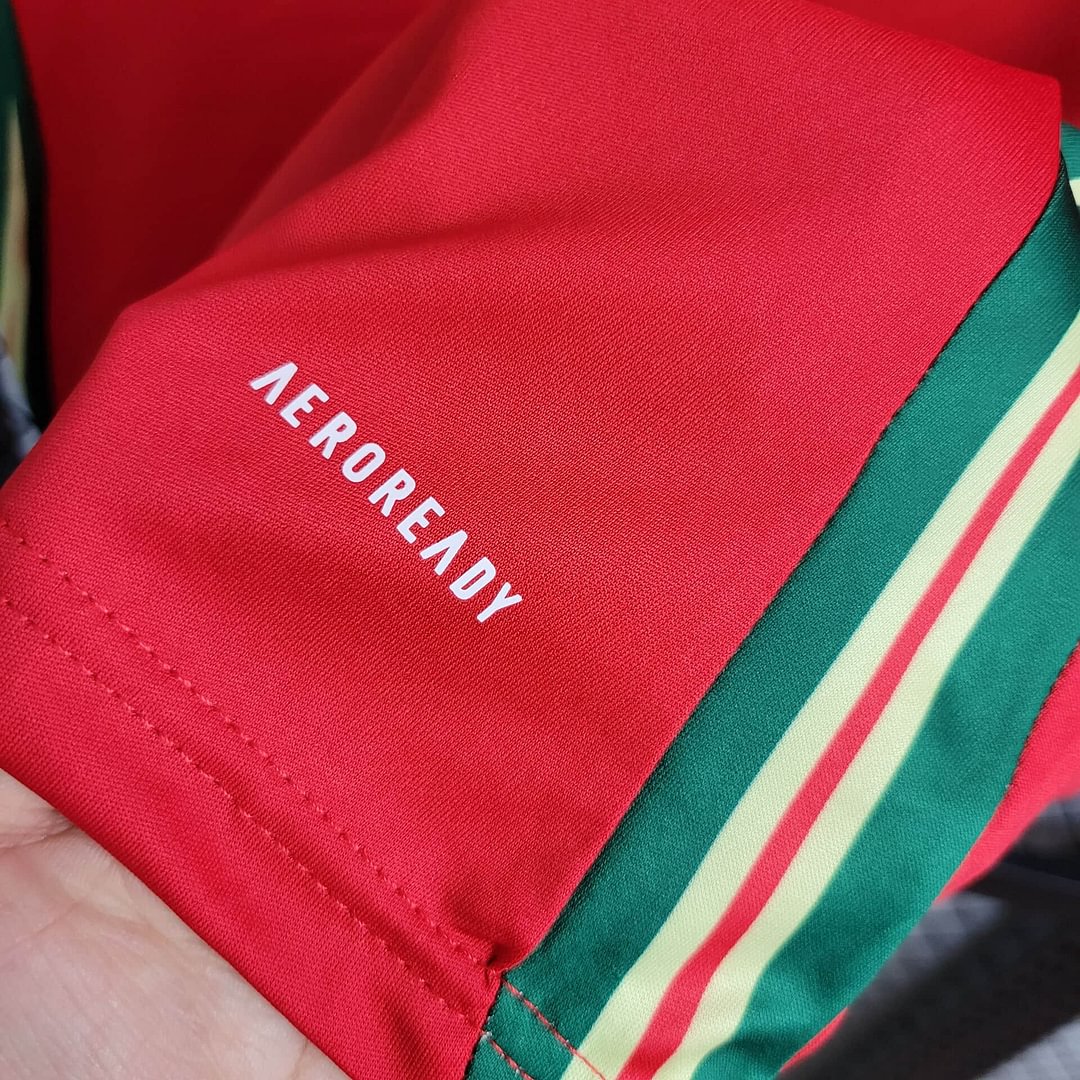 2024 Wales Home Football Shirt( Fans Edition )