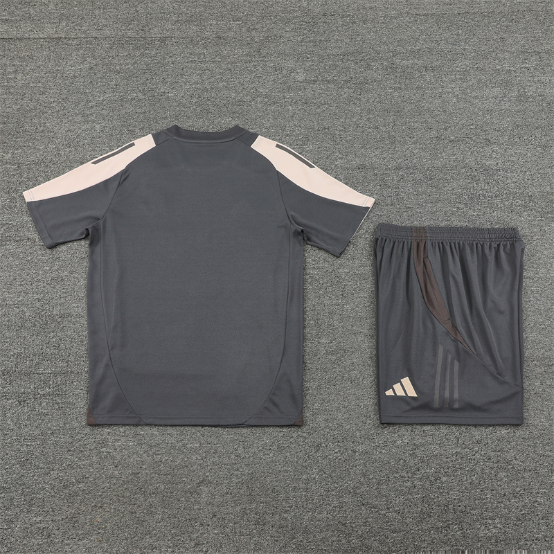 2024/2025 Real Madrid Grey And Pink Purple Training Wear Suit Shirt