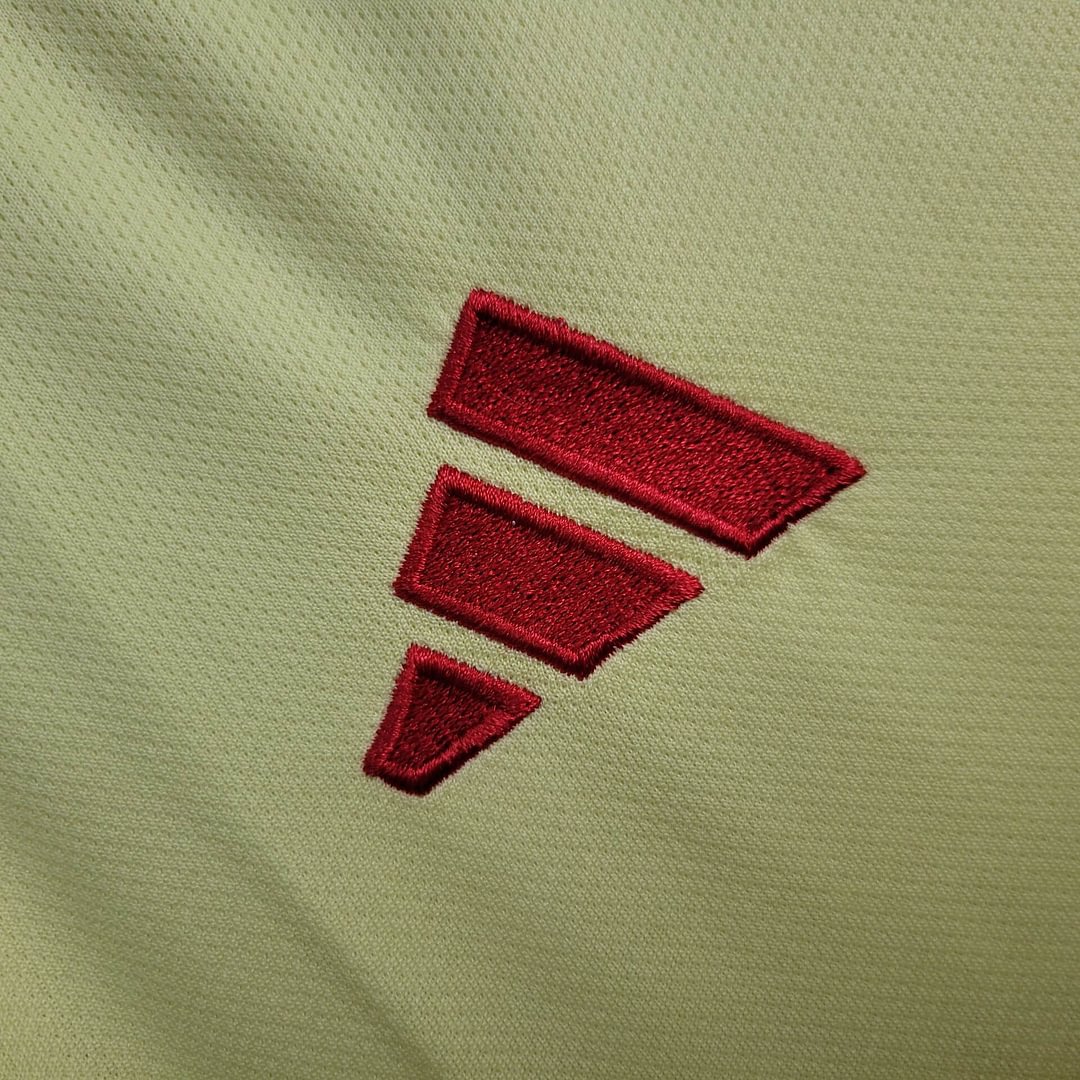 2024 Wales Away Football Shirt( Fans Edition )