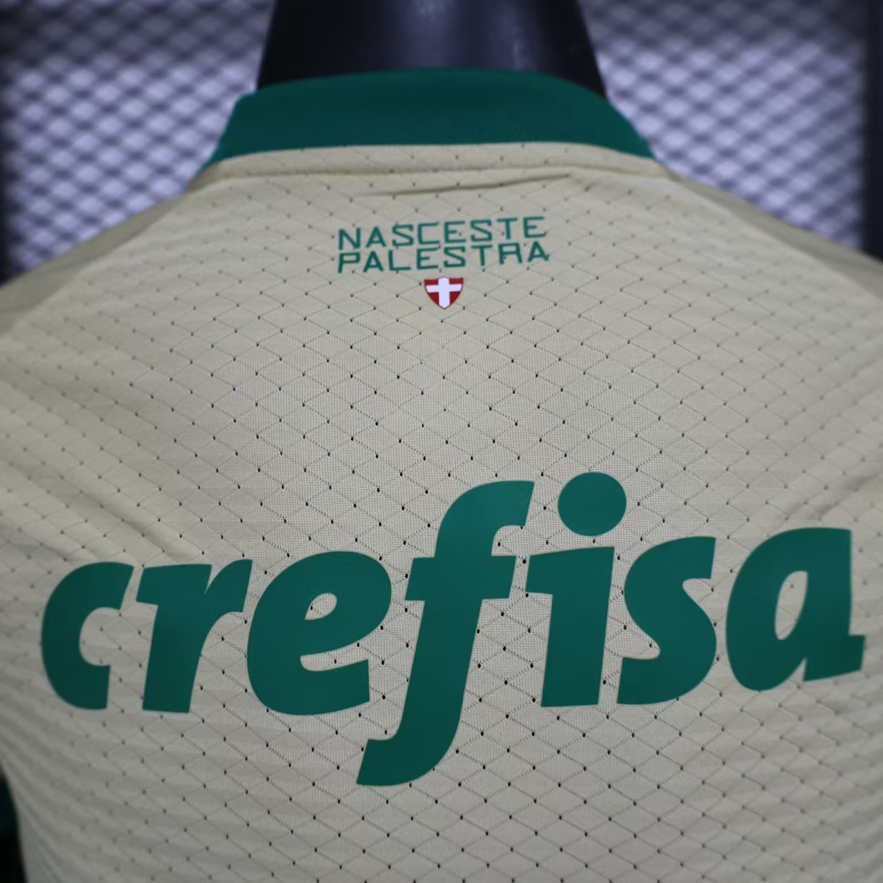 2024/2025 Palmeiras Anniversary Edition Jersey(Player Edition)