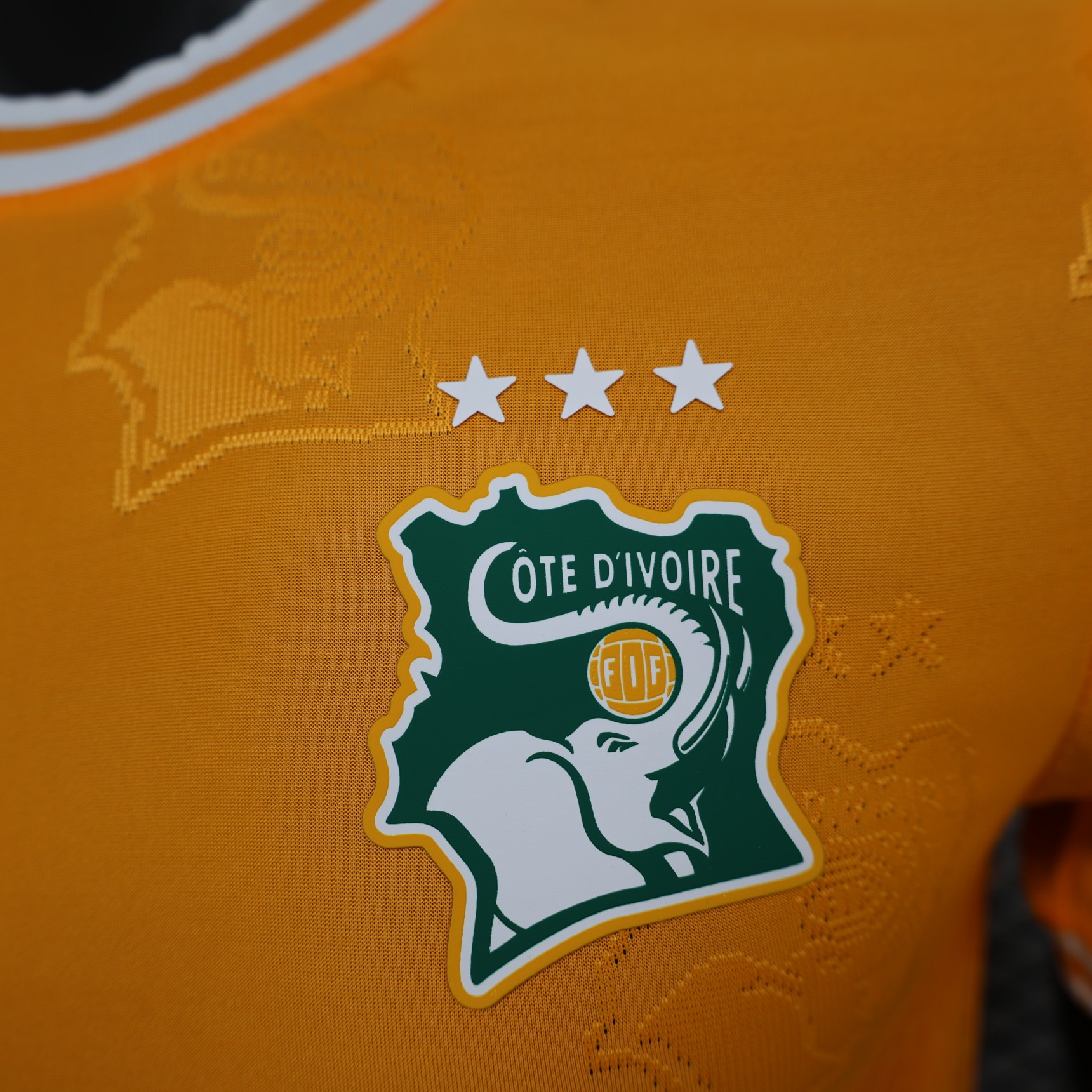 2025/2026 Ivory Coast Special Edition Football Shirt( Player Edition )