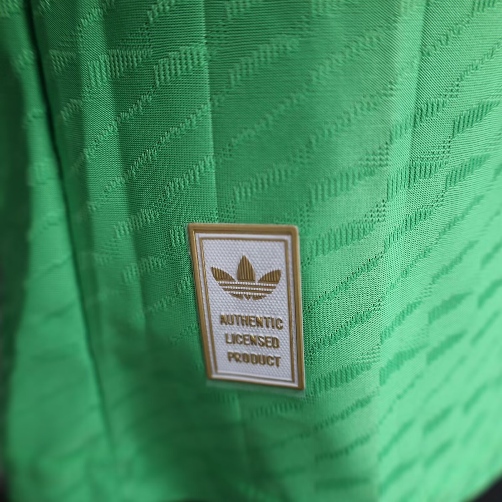 2025/2026 Manchester United Goalkeeper Jersey( Player Edition )