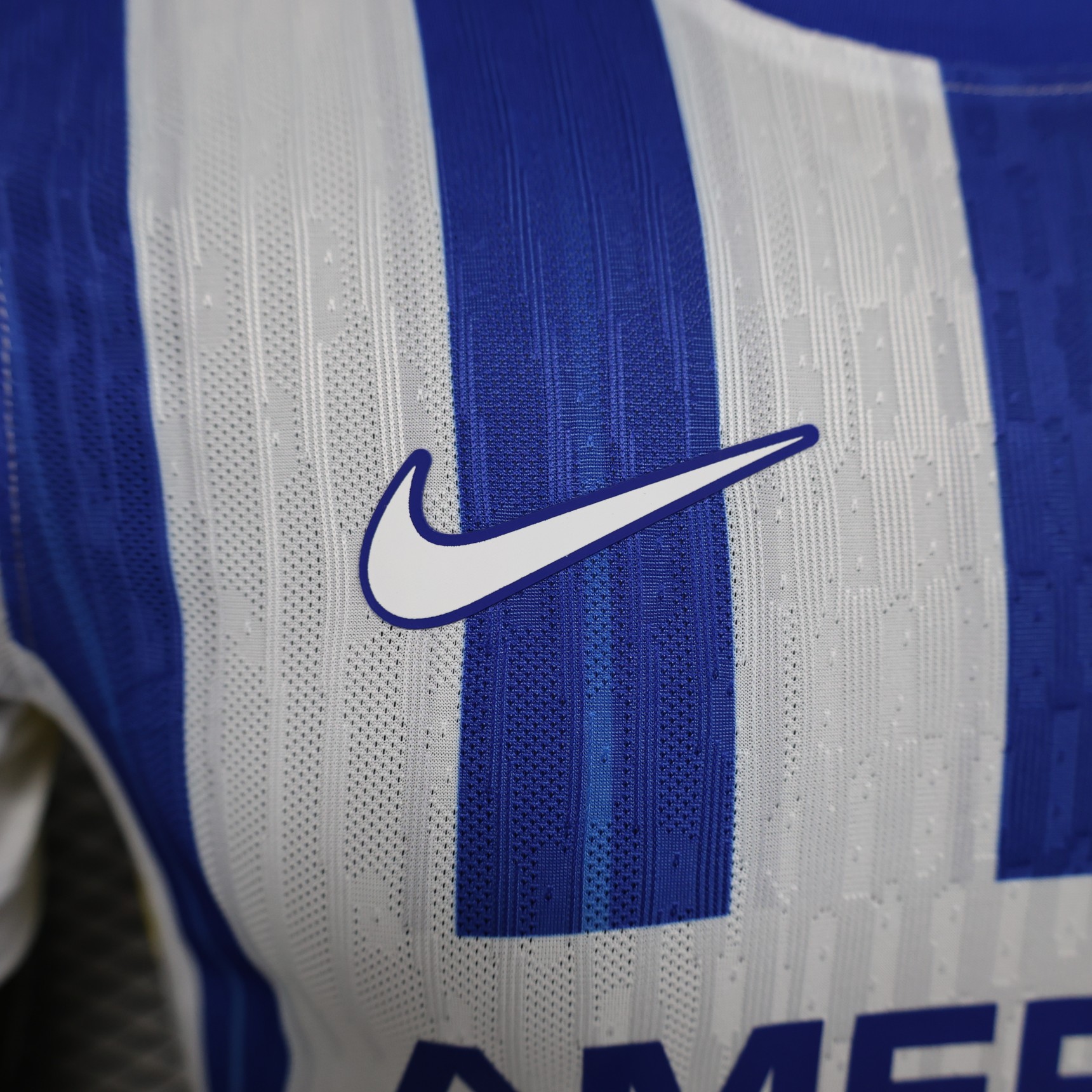 2024/2025 Brighton Home Football Shirt(Player Version )