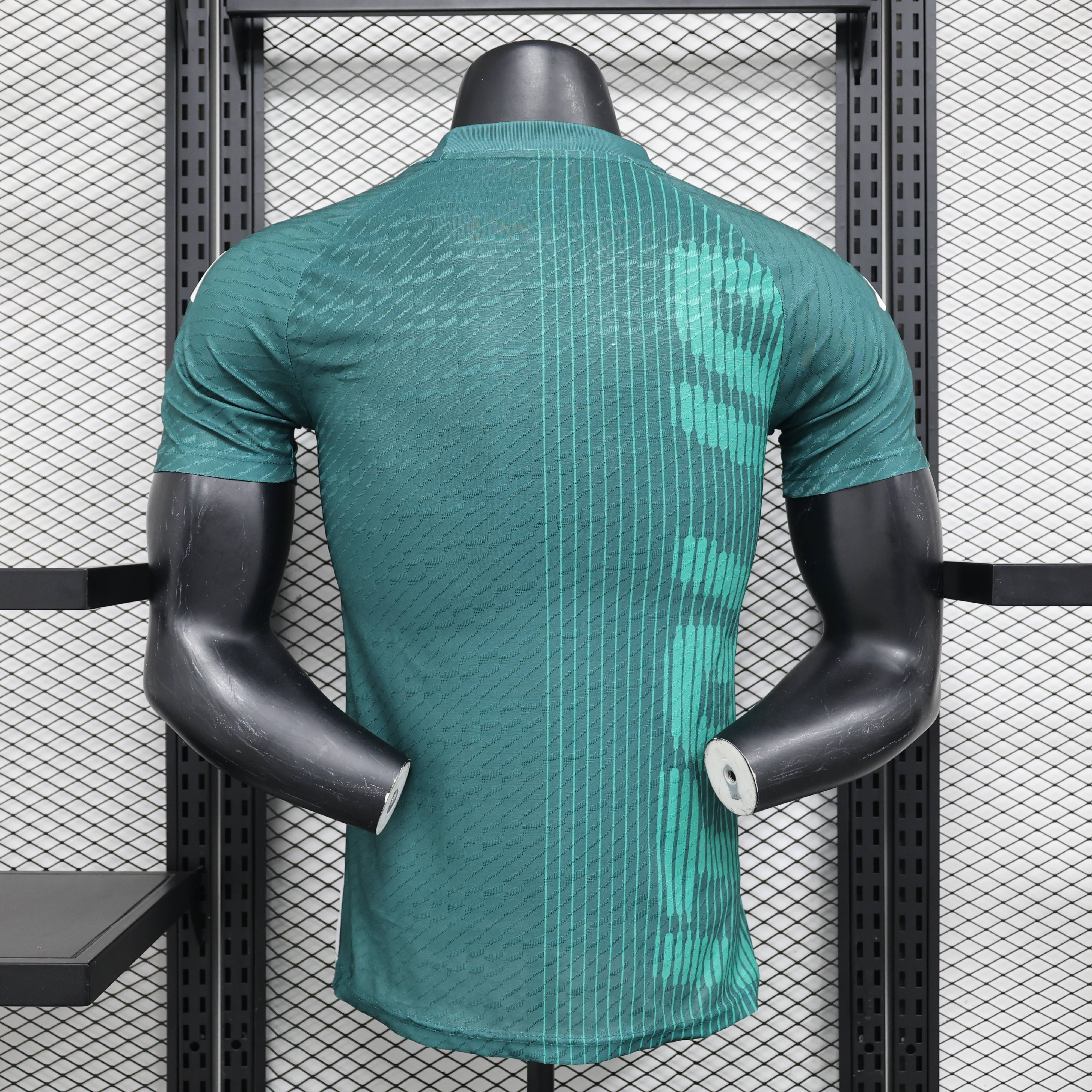 2024/2025 Italy Special Edition Football Jersey( Player Edition )