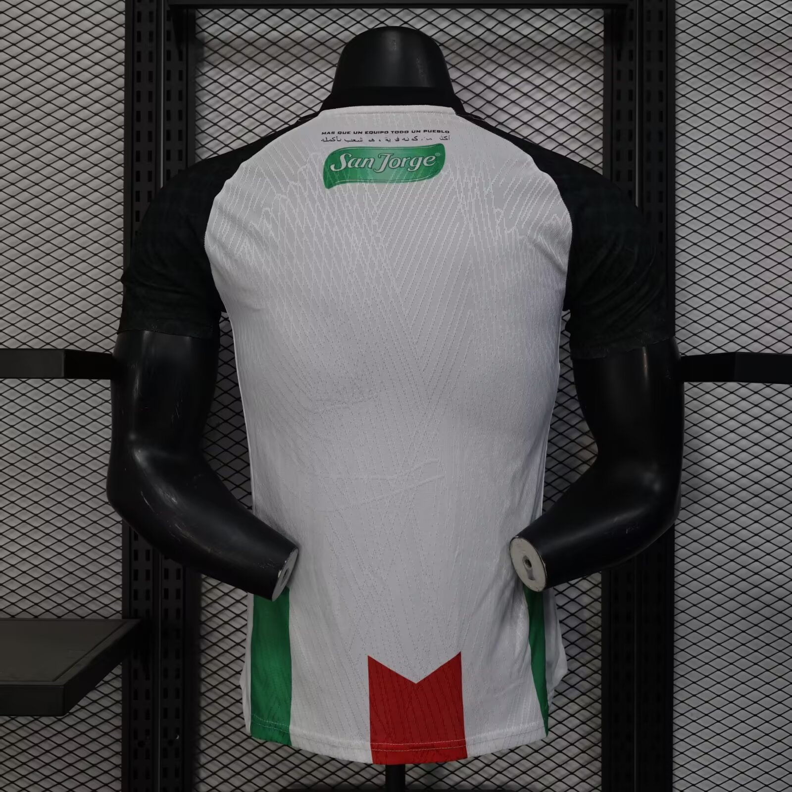2025/2026 Palestine Home Player Edition Football Shirt( Player Edition )
